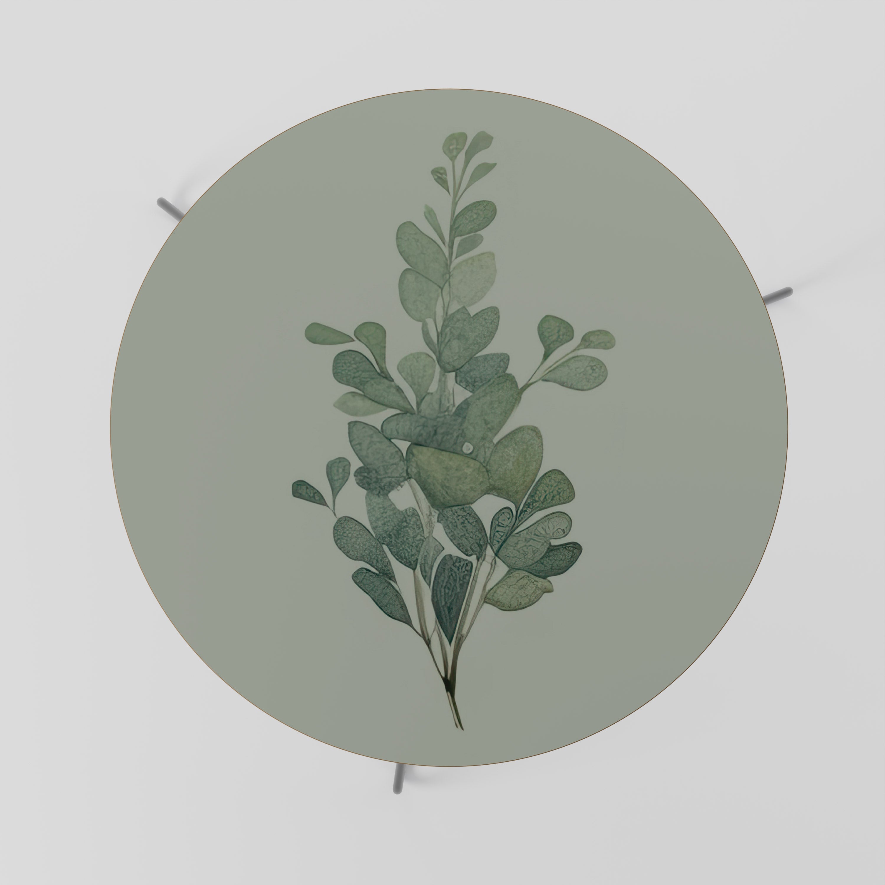 EUCALYPTUS TWIG Couchtisch 69