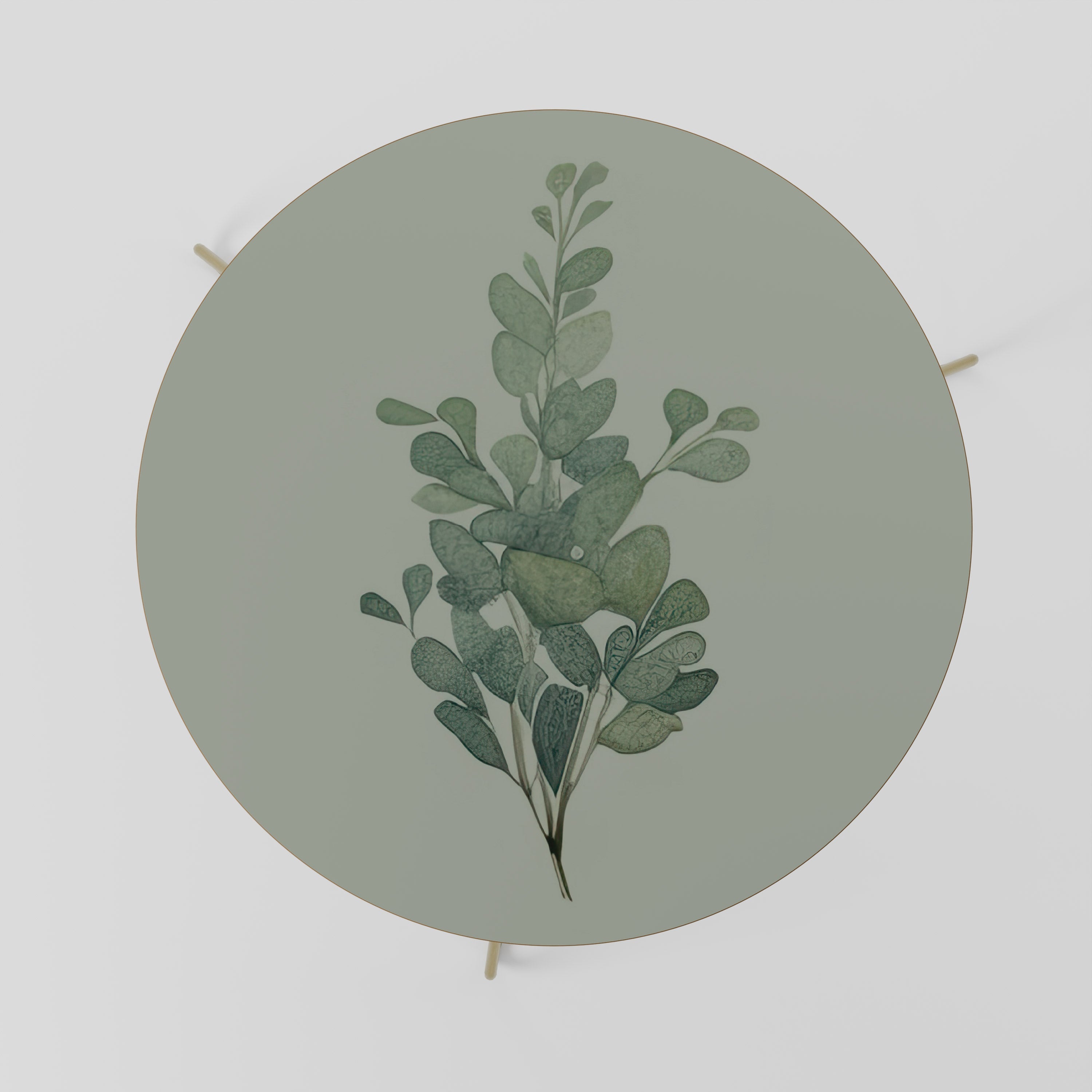 EUCALYPTUS TWIG Couchtisch 69