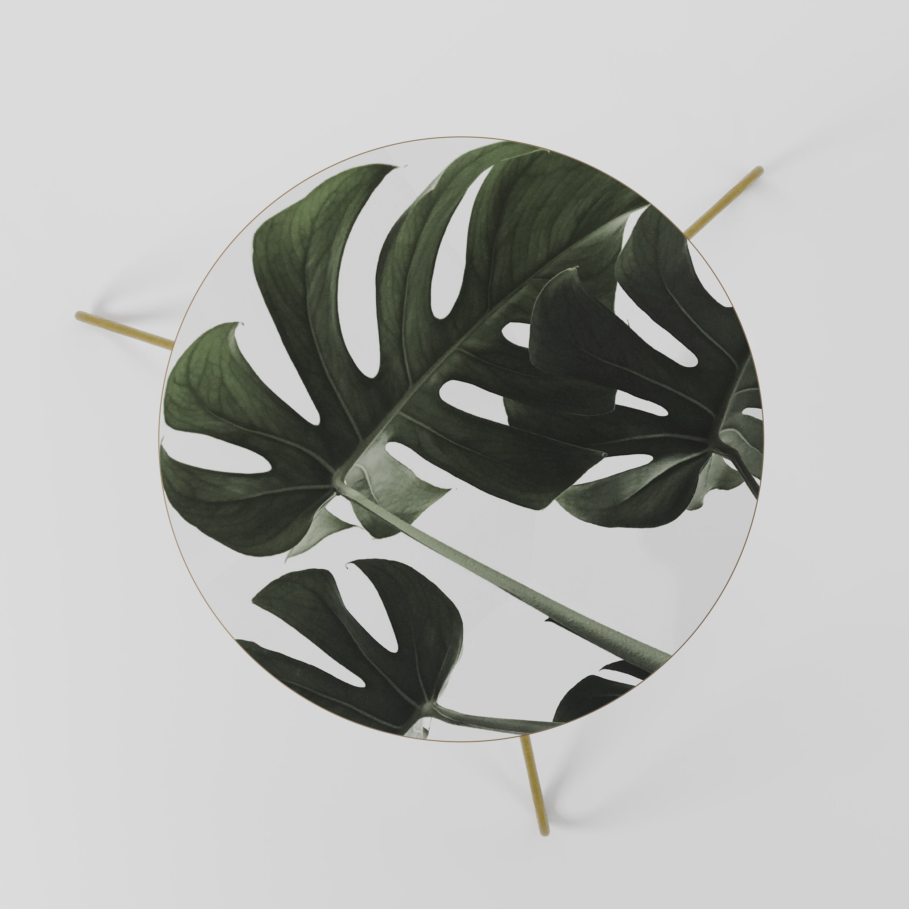 FOLIAGE FUSION Couchtisch 60