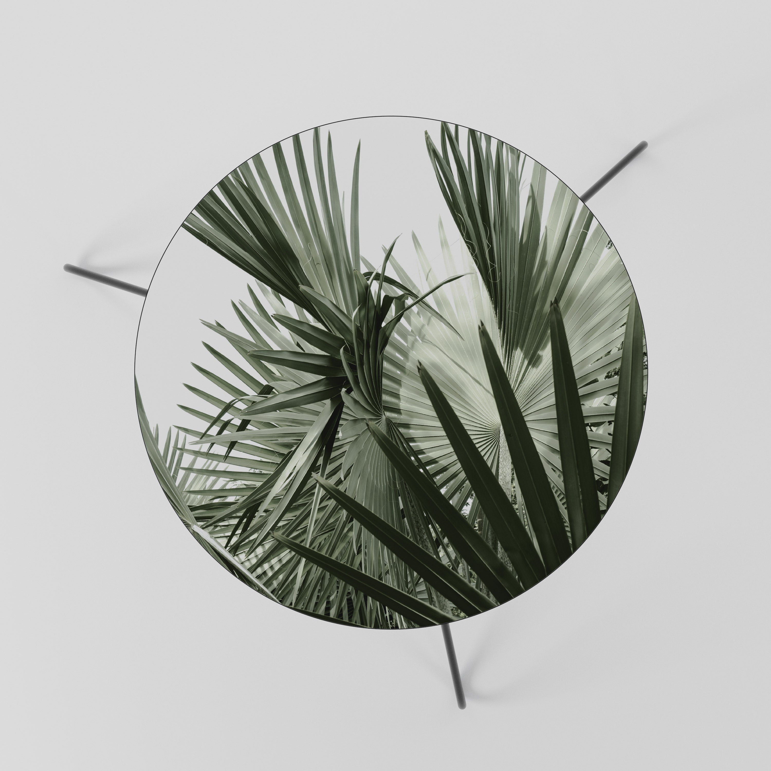 PALM PARADISE DANCE Couchtisch 60