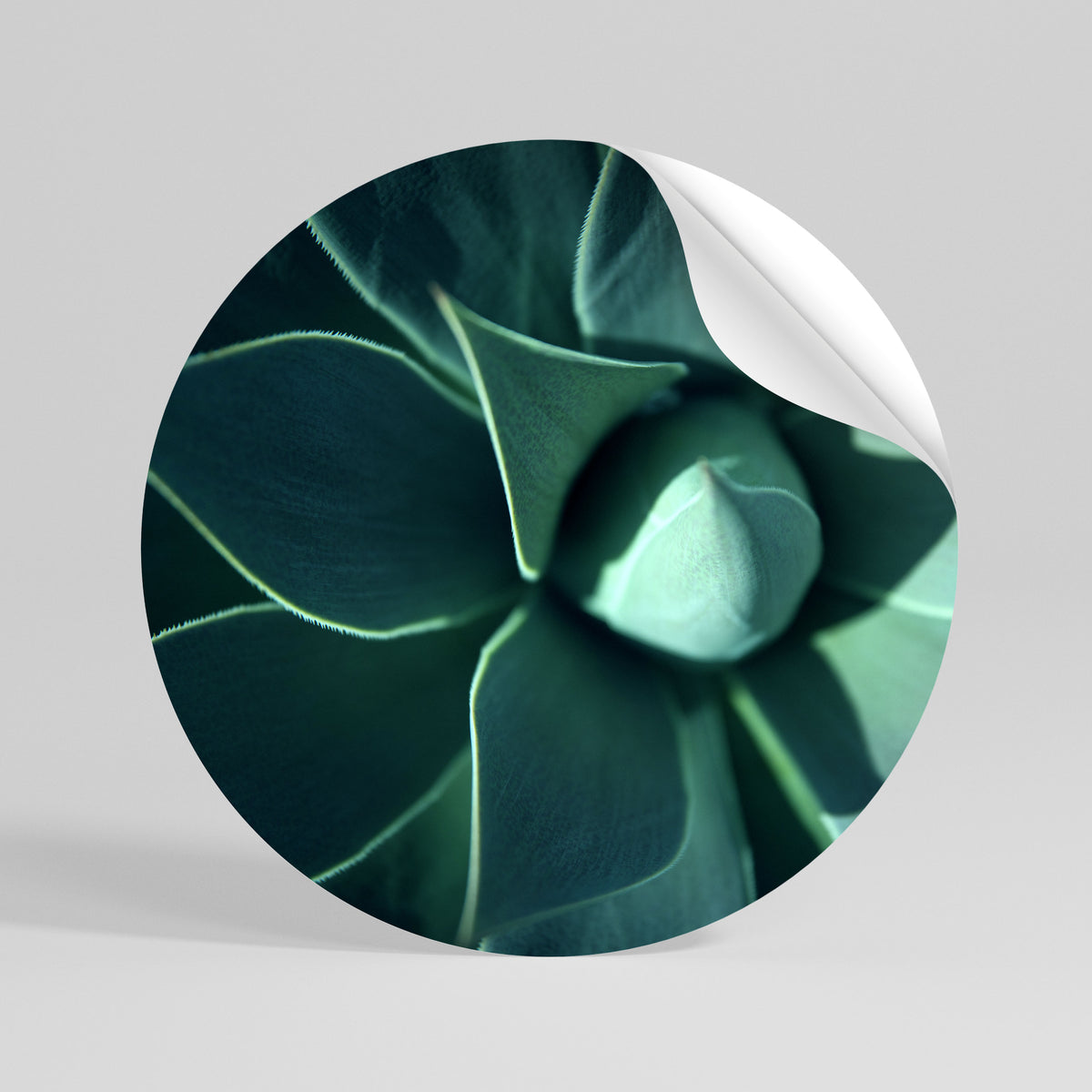 MYSTICAL GREEN WHORL Runder Wandsticker zum Abziehen und Aufkleben