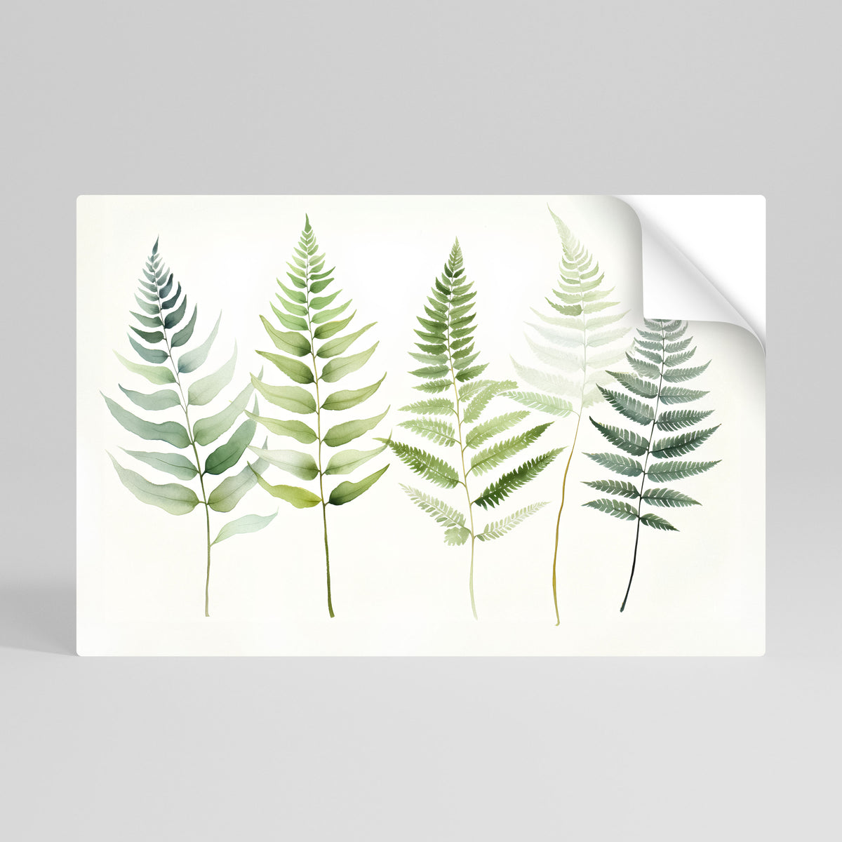 FERN MAJESTY Selbstklebendes Horizontal-Poster