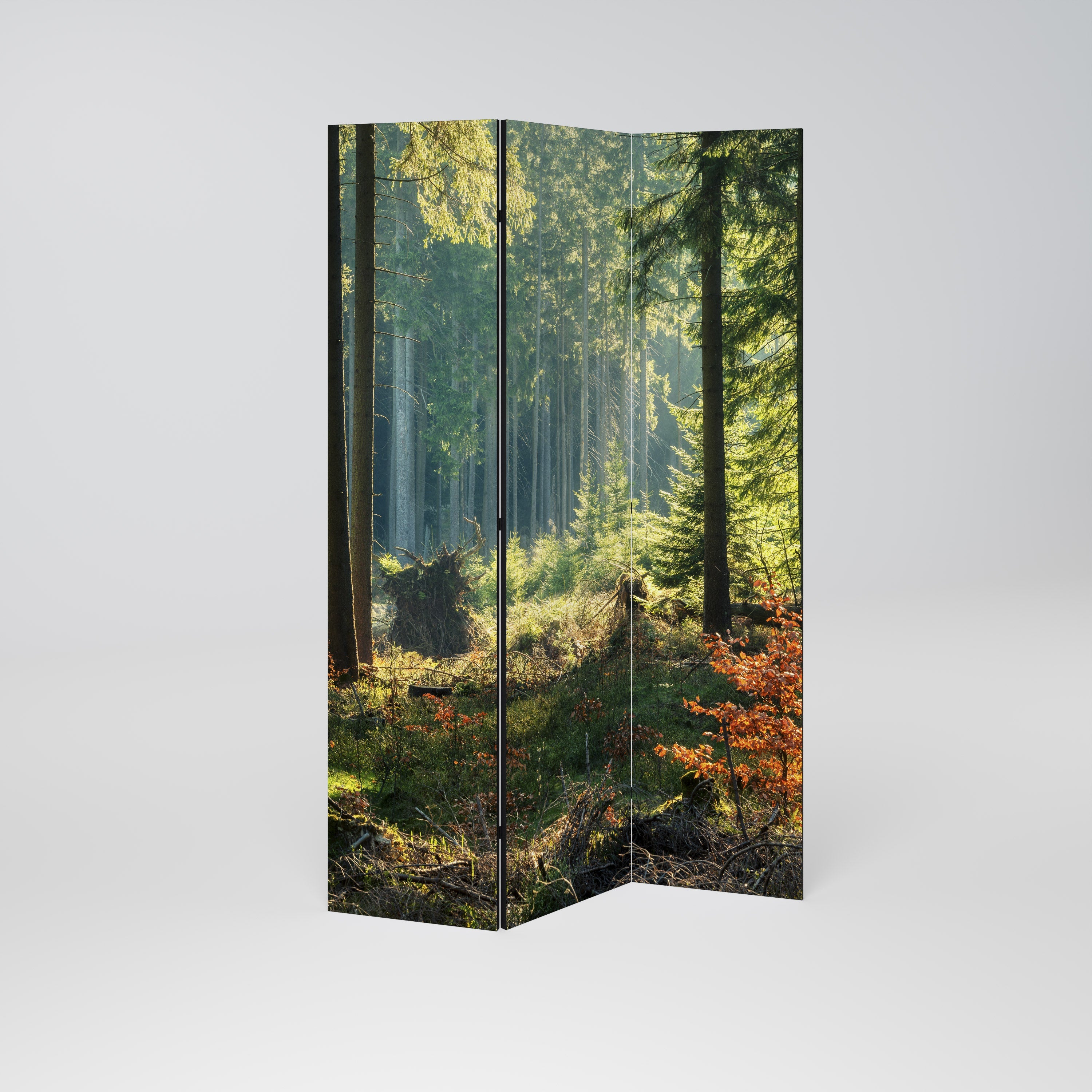 SUNLIT FOREST SERENADE Dekorativer 3-teiliger Raumteiler