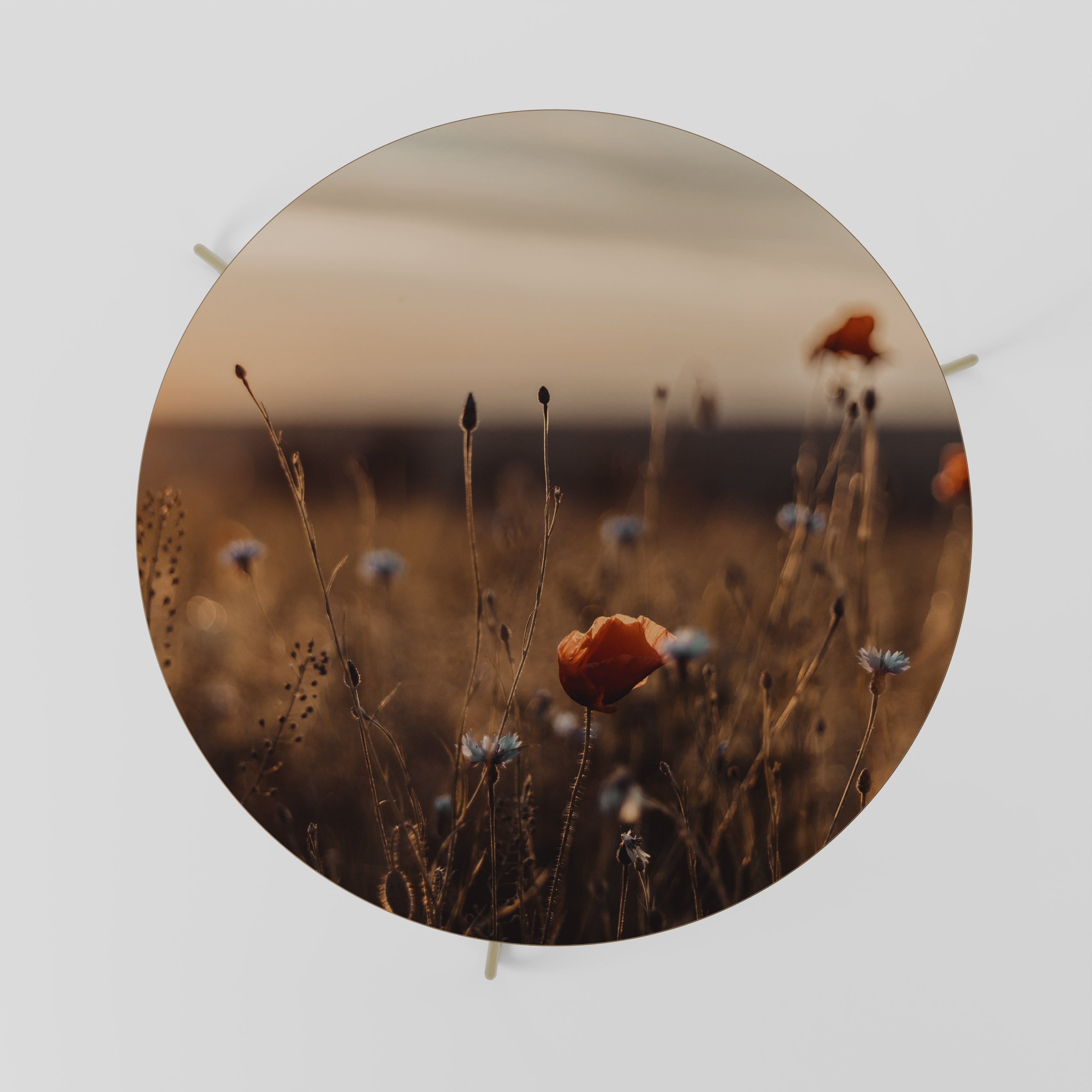 GLÜHENDE WIESEN IN DER DÄMMERUNG Couchtisch 69