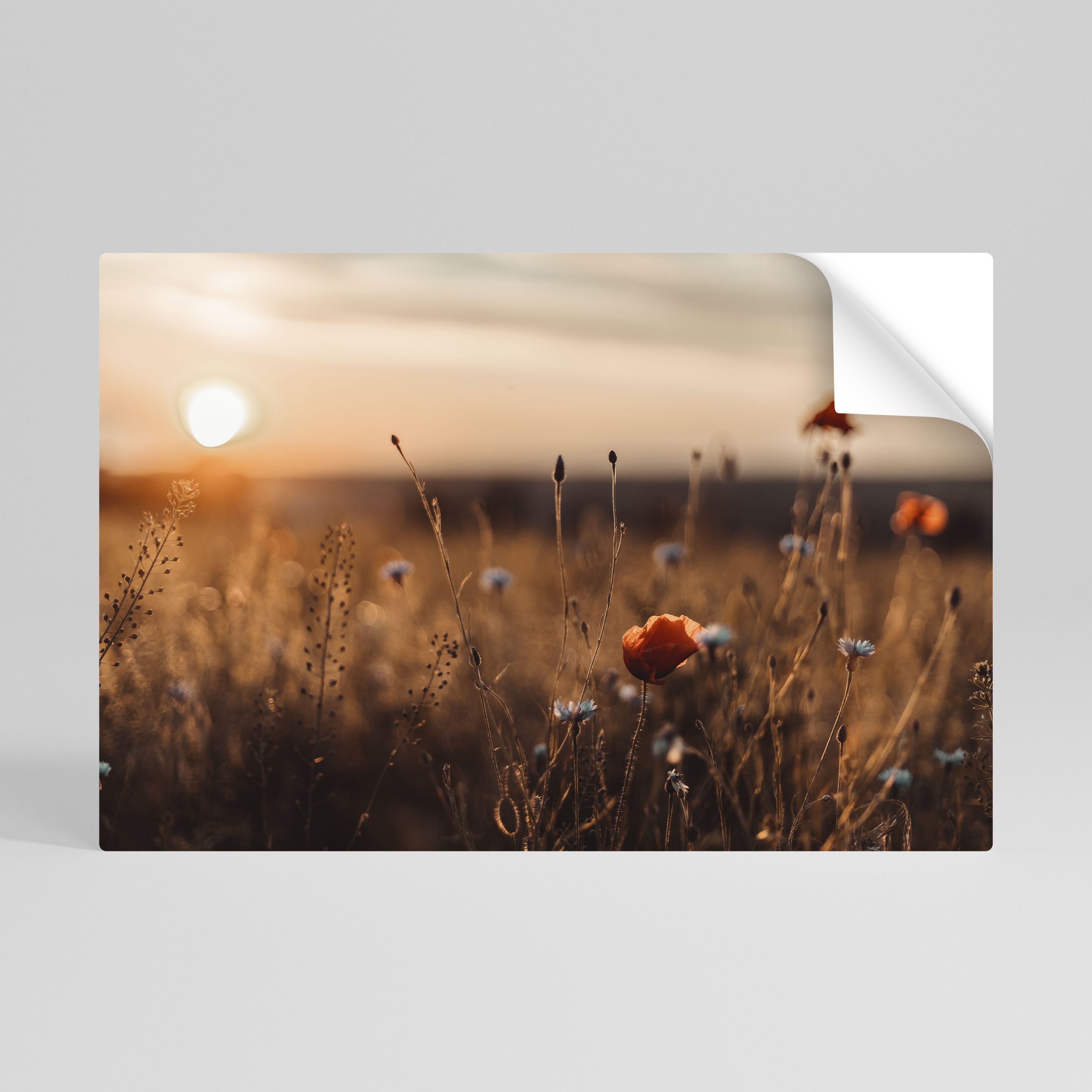 Horizontales Poster „GLOWING MEADOWS AT DUSK“ zum Abziehen und Aufkleben