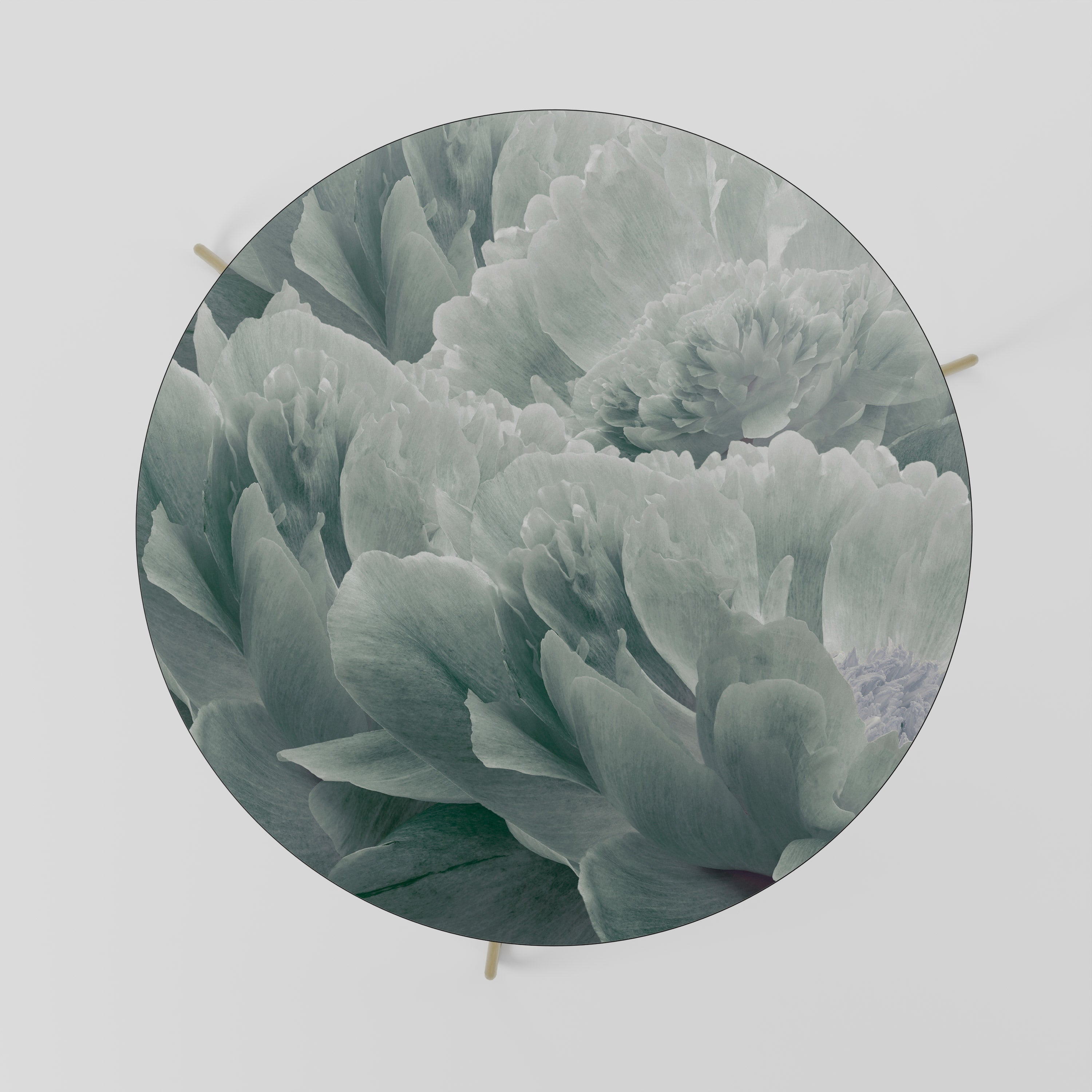 TREE PEONIES Couchtisch 69