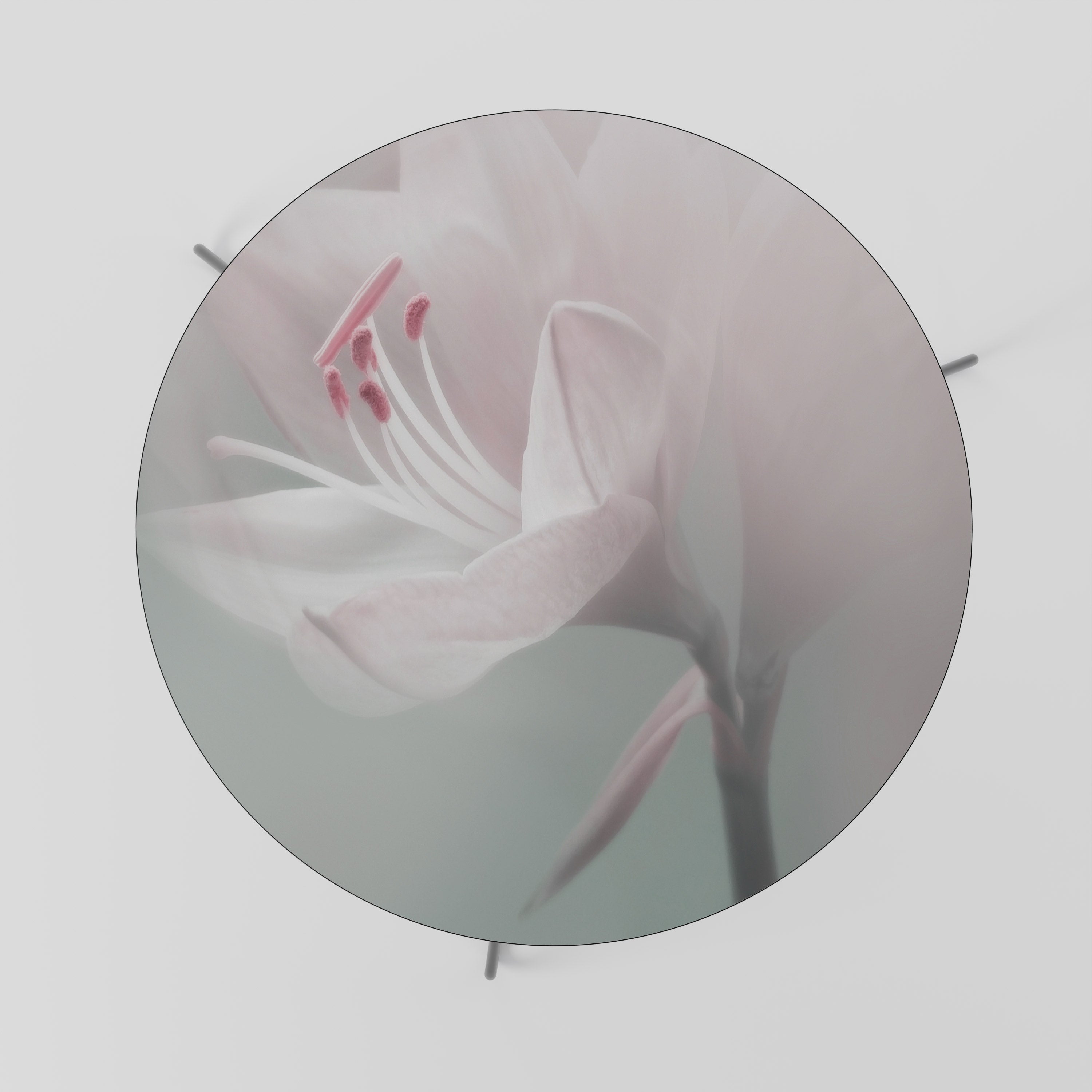 GENTLE LILY Couchtisch 69