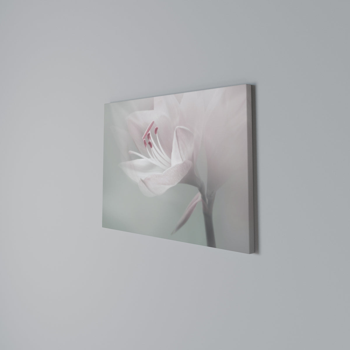 GENTLE LILY Horizontal Canvas Print