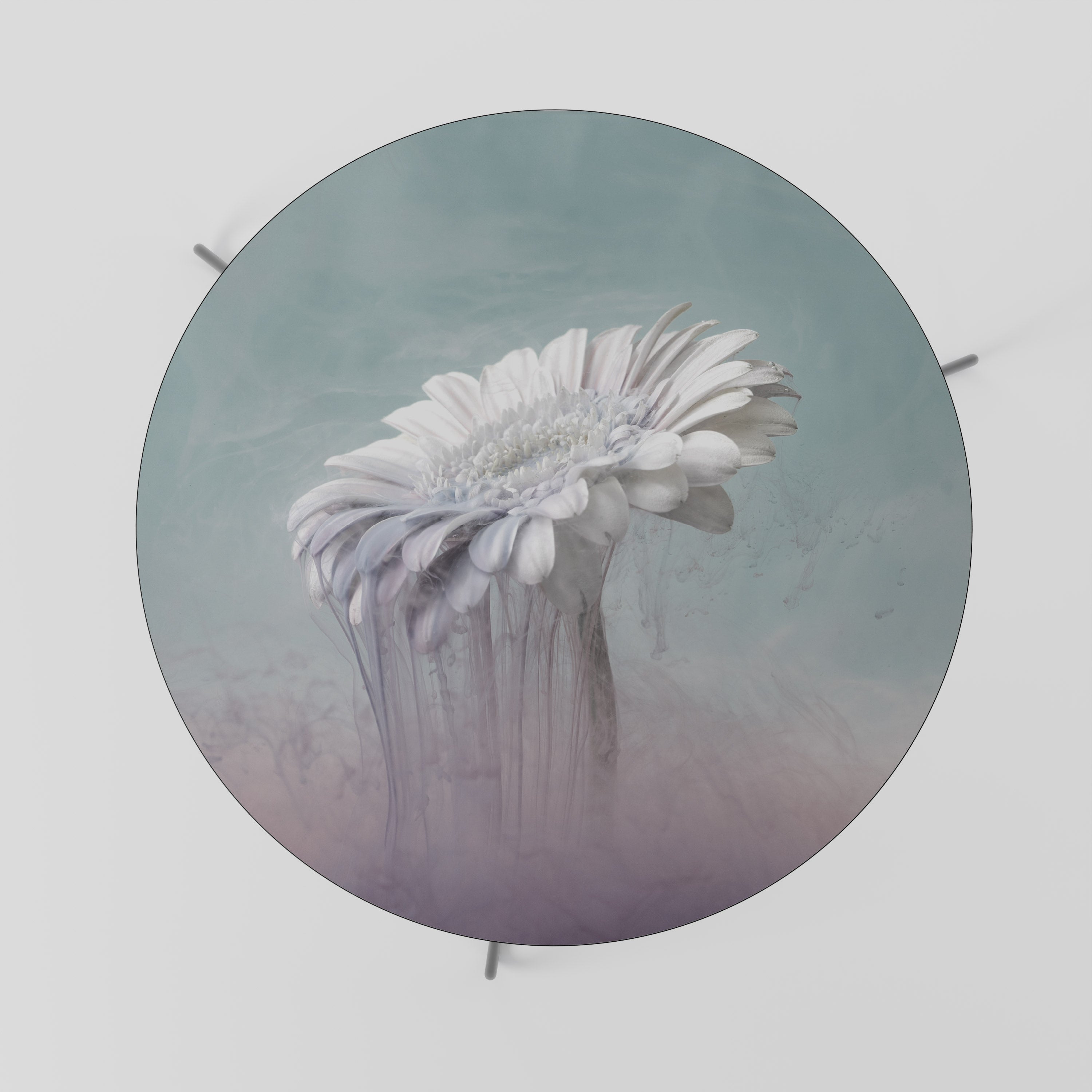 MELTING GERBERA Couchtisch 69