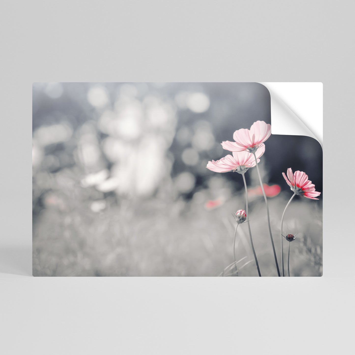 SUBTLE PETAL DANCE Selbstklebendes Horizontal-Poster