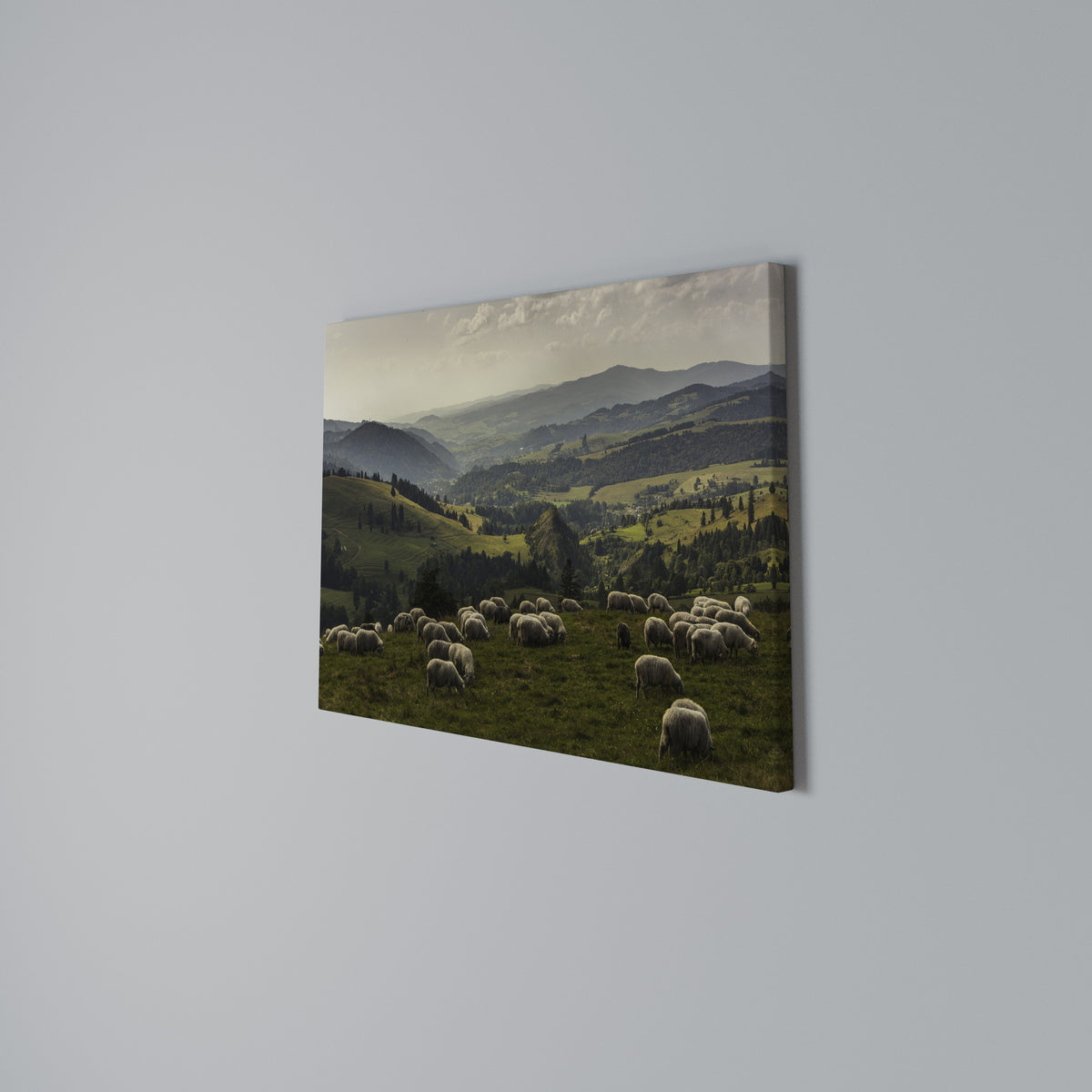 SHEEP IN SERENITY Horizontal Canvas Print