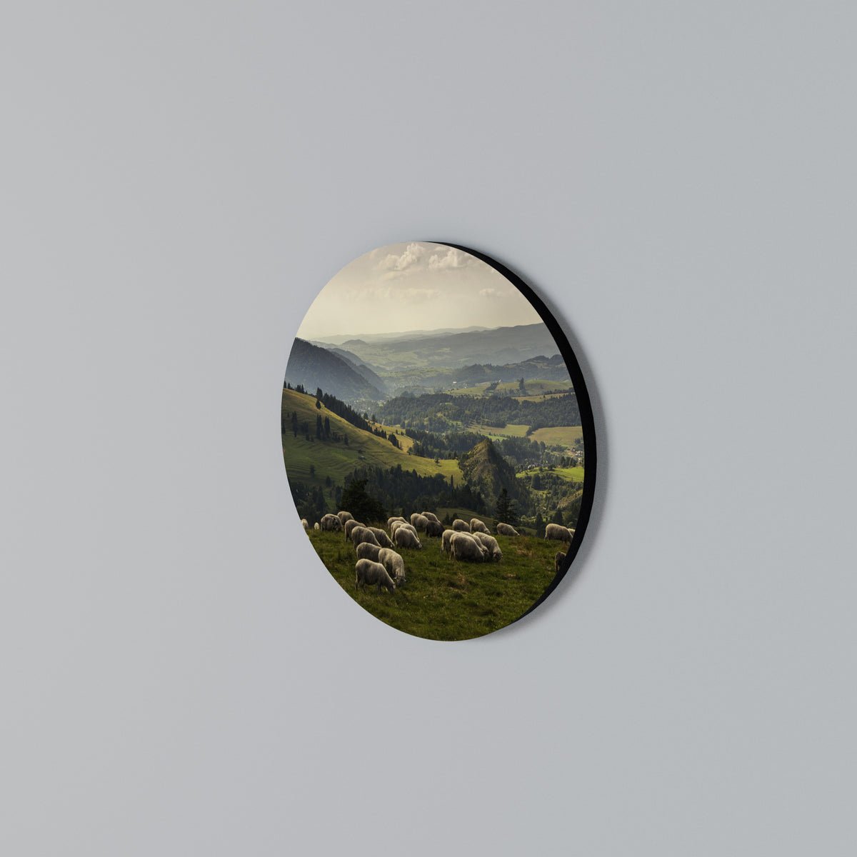 SHEEP IN SERENITY Rundes Wandbild