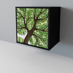 WILDERNESS DASH Sideboard mit 1 Tür in Schwarz