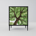 WILDERNESS DASH Sideboard mit 1 Tür in Schwarz