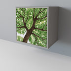 WILDERNESS DASH Sideboard mit 1 Tür in Grau