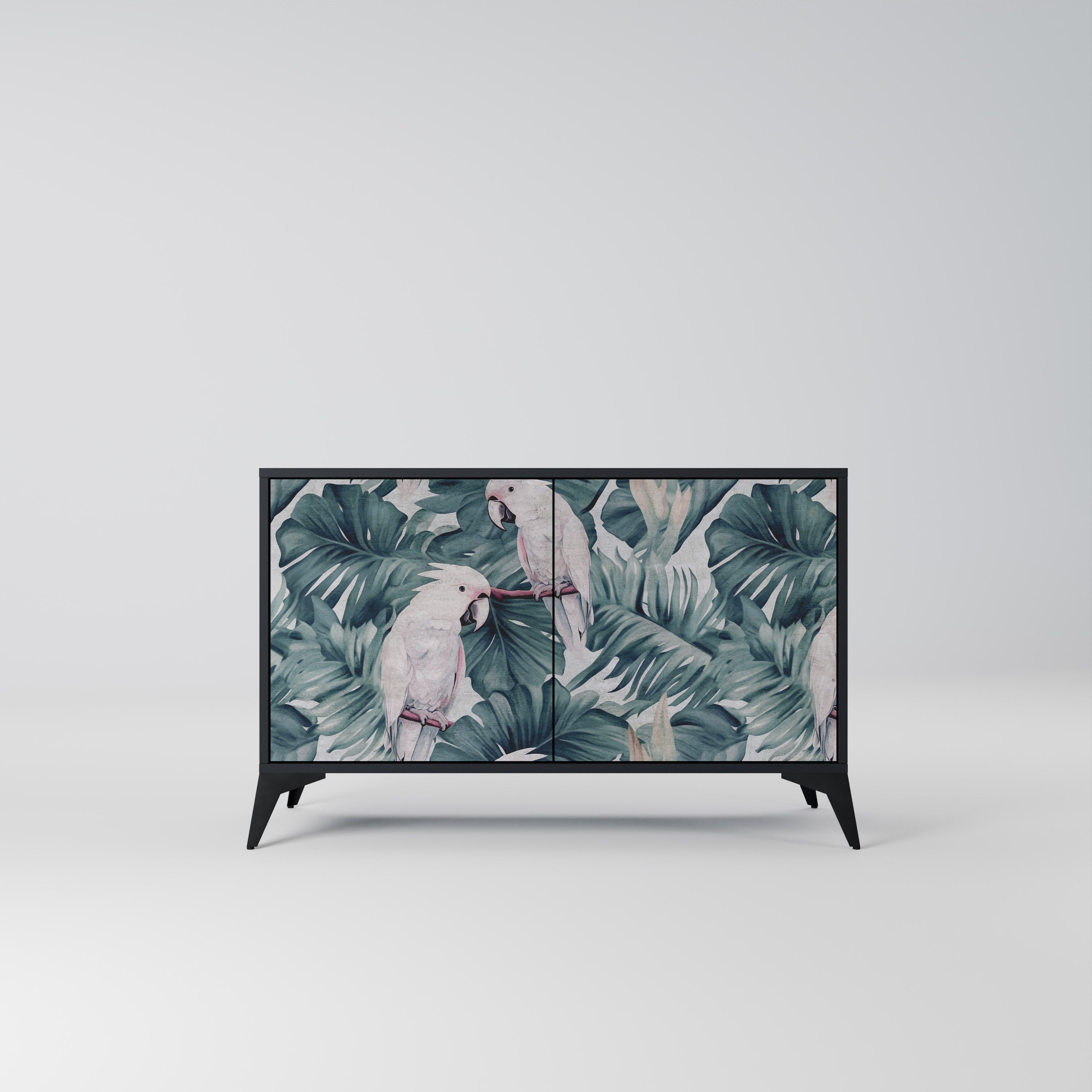 POPINJAY LOOK Sideboard mit 2 Türen in Schwarz