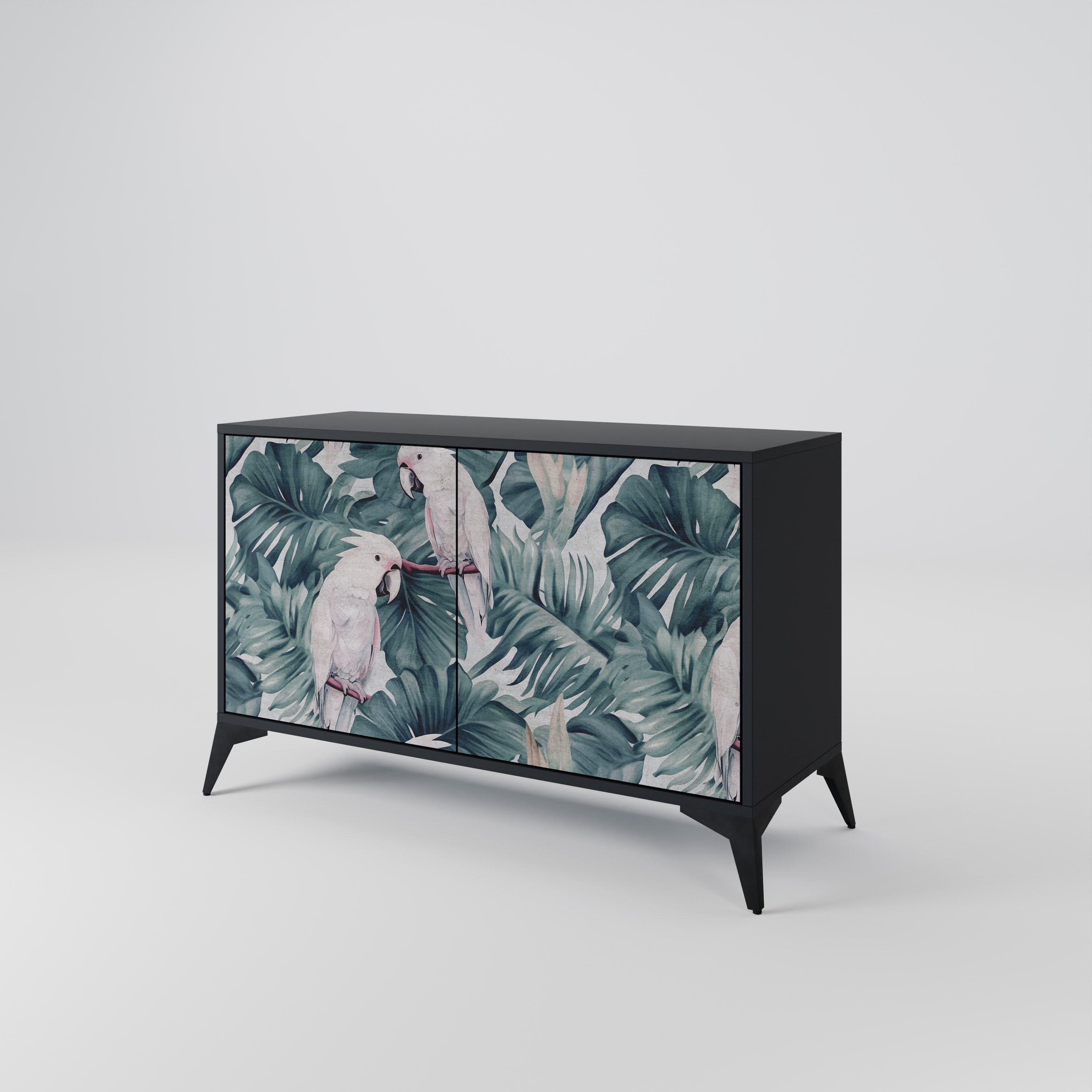 POPINJAY LOOK Sideboard mit 2 Türen in Schwarz