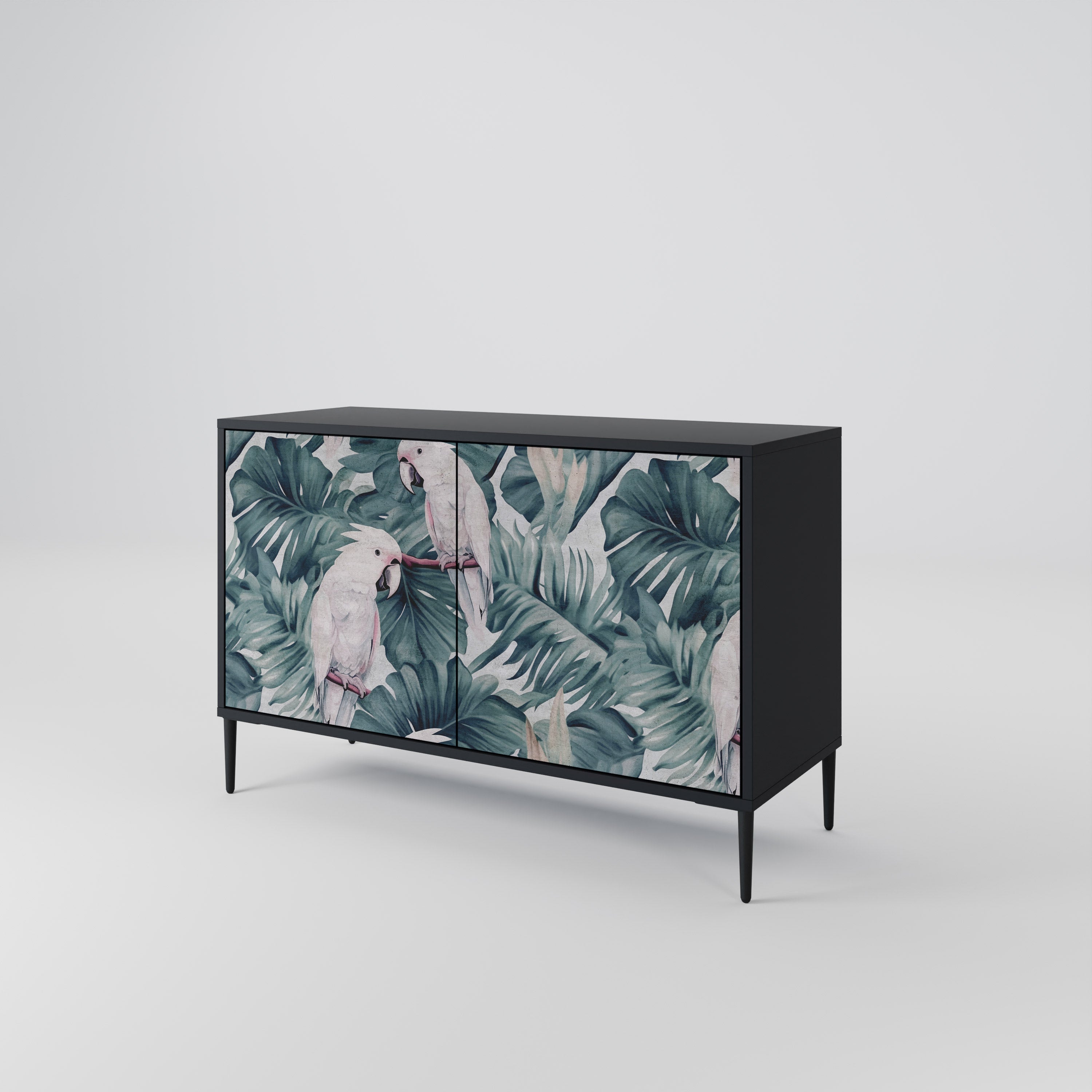 POPINJAY LOOK Sideboard mit 2 Türen in Schwarz