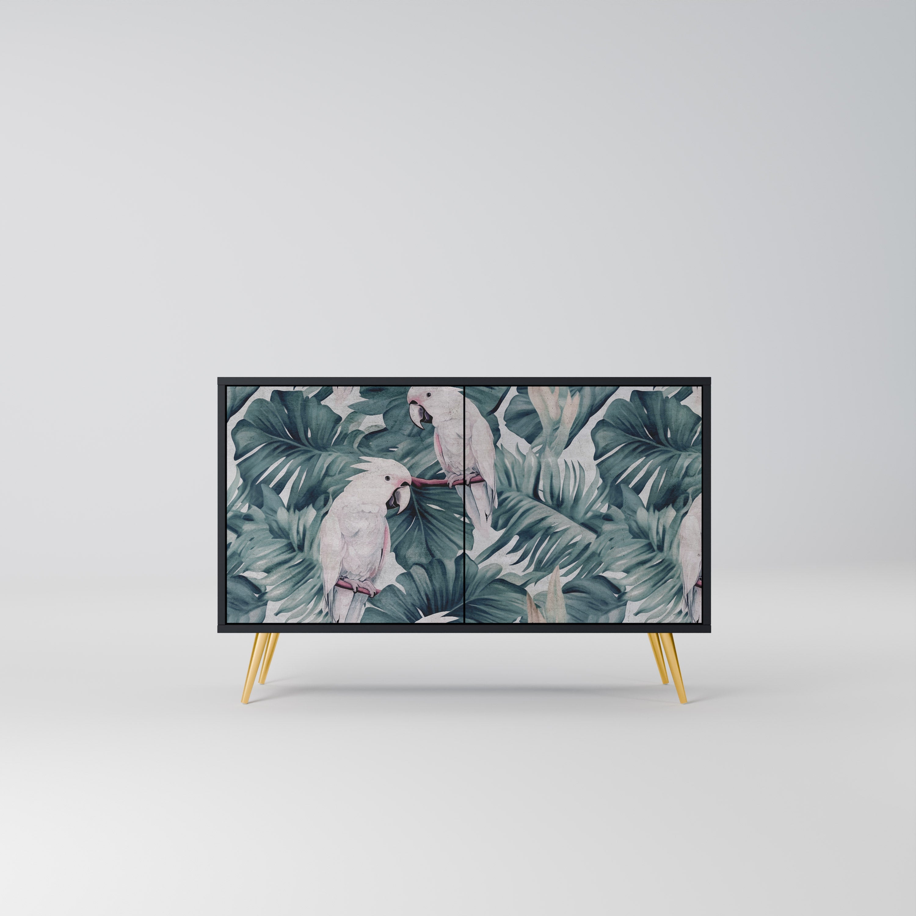 POPINJAY LOOK Sideboard mit 2 Türen in Schwarz