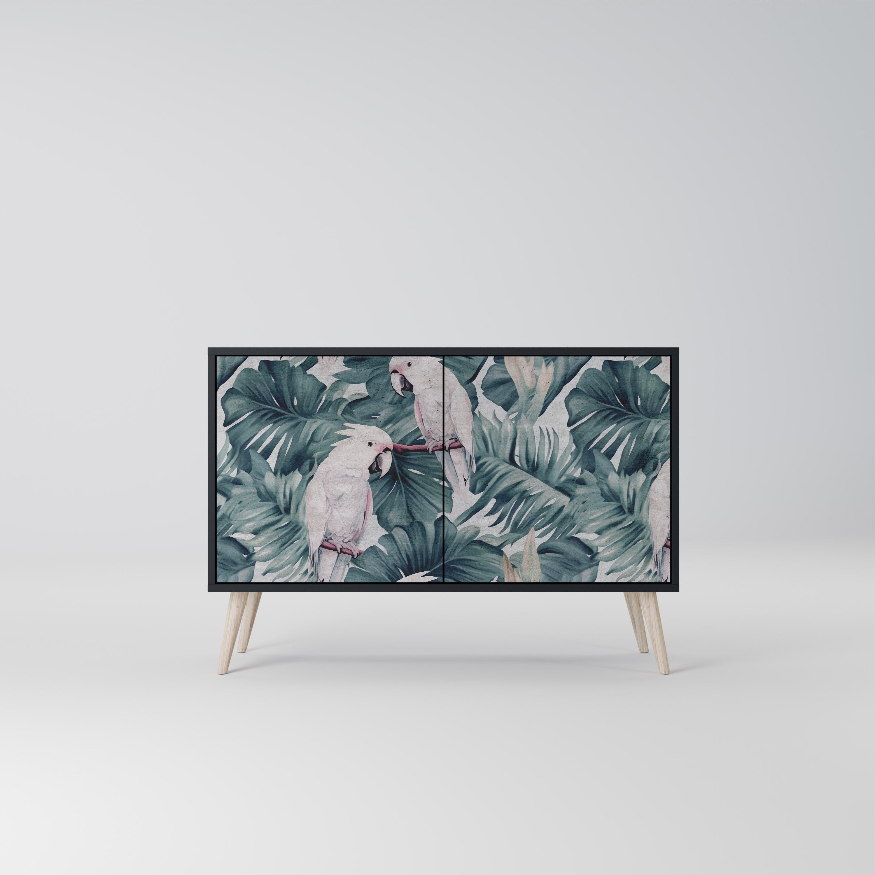 POPINJAY LOOK Sideboard mit 2 Türen in Schwarz