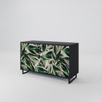 EERIE STROMANTHE Sideboard mit 2 Türen in Schwarz