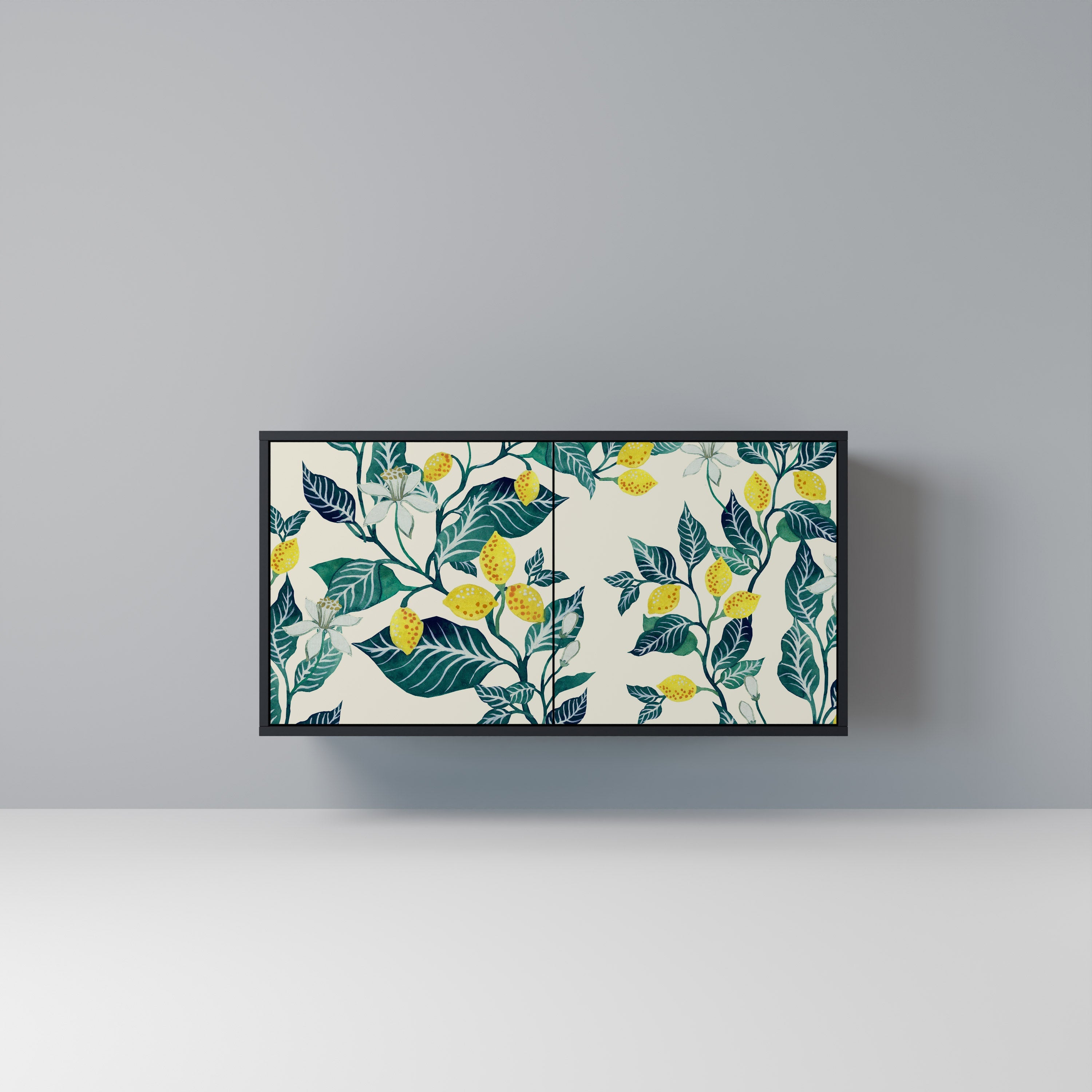 LEMON TREE Sideboard mit 2 Türen in Schwarz