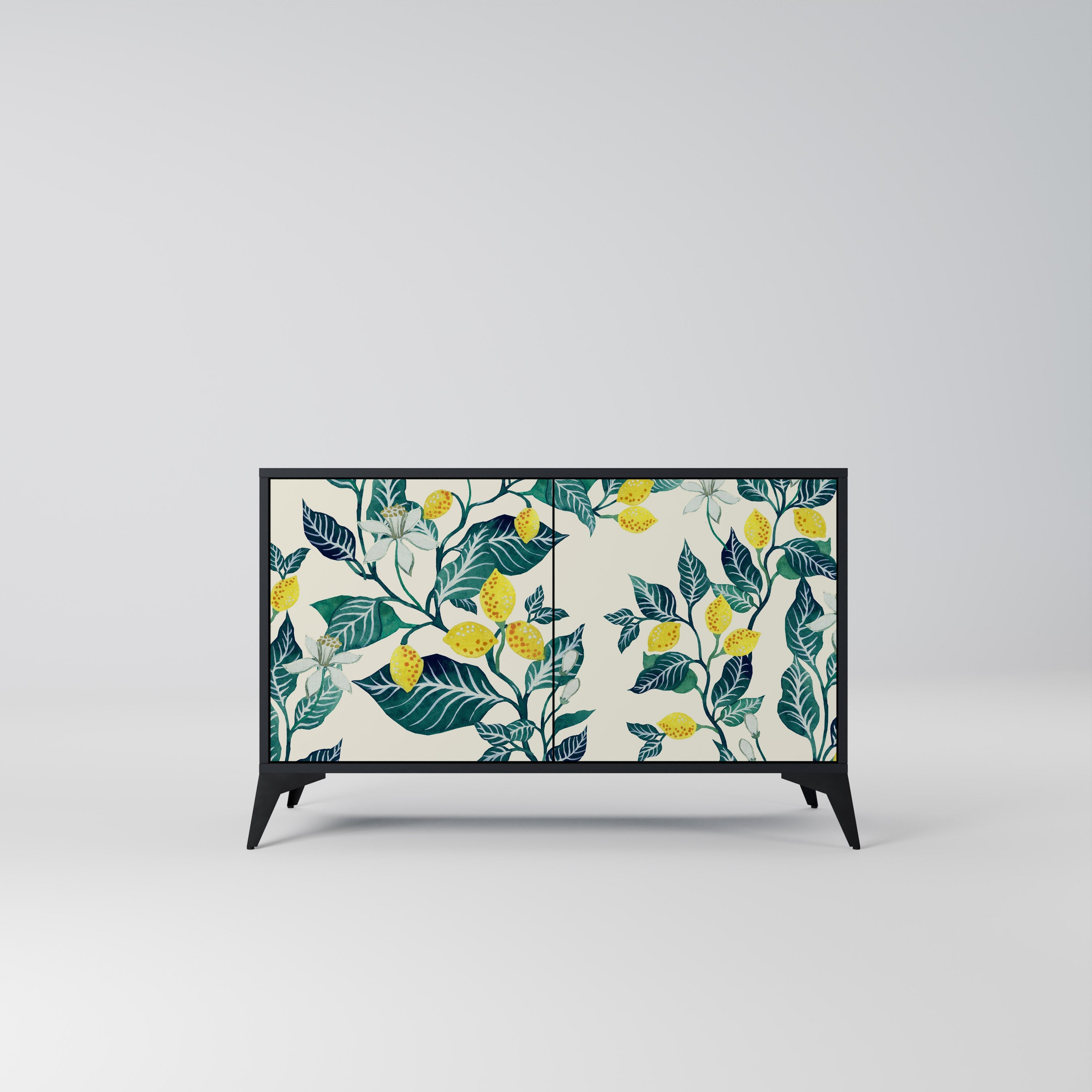 LEMON TREE Sideboard mit 2 Türen in Schwarz