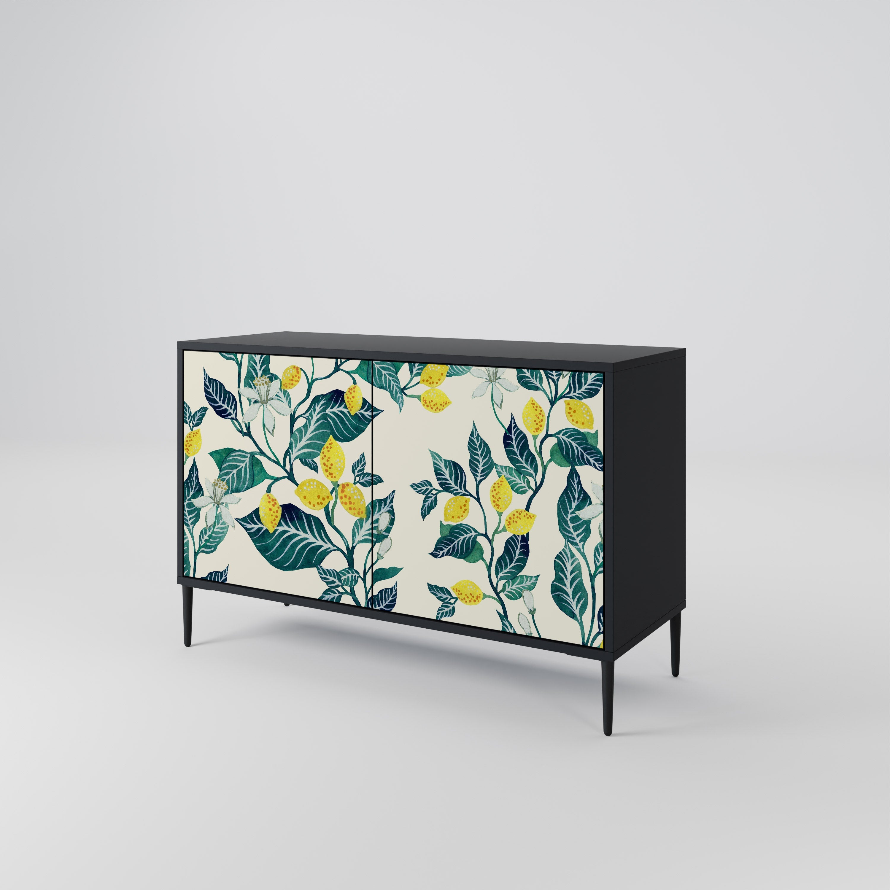 LEMON TREE Sideboard mit 2 Türen in Schwarz