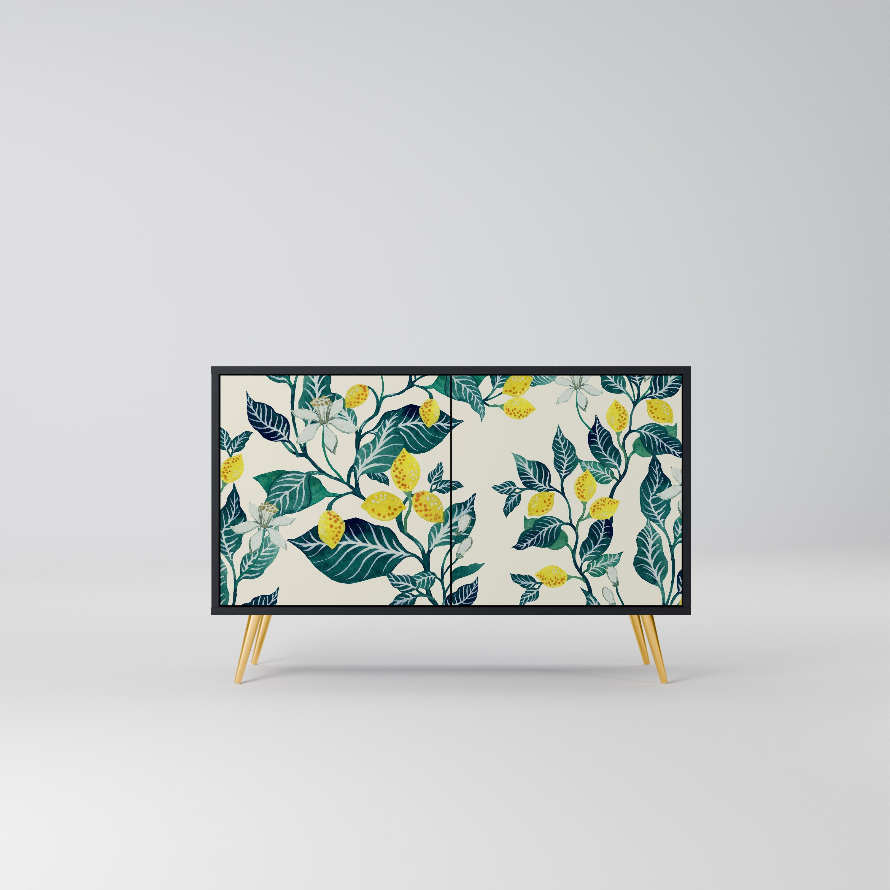 LEMON TREE Sideboard mit 2 Türen in Schwarz