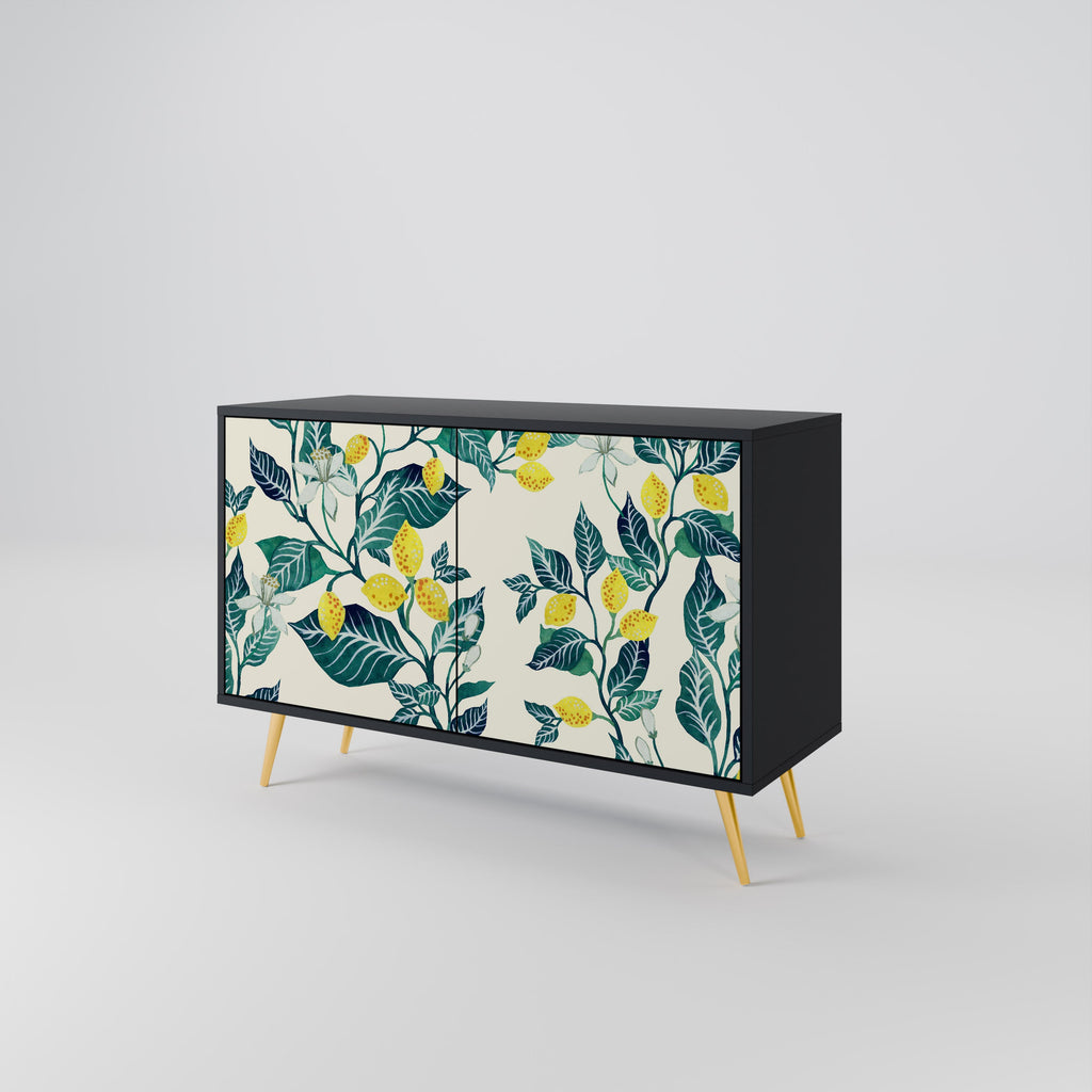 LEMON TREE Sideboard mit 2 Türen in Schwarz