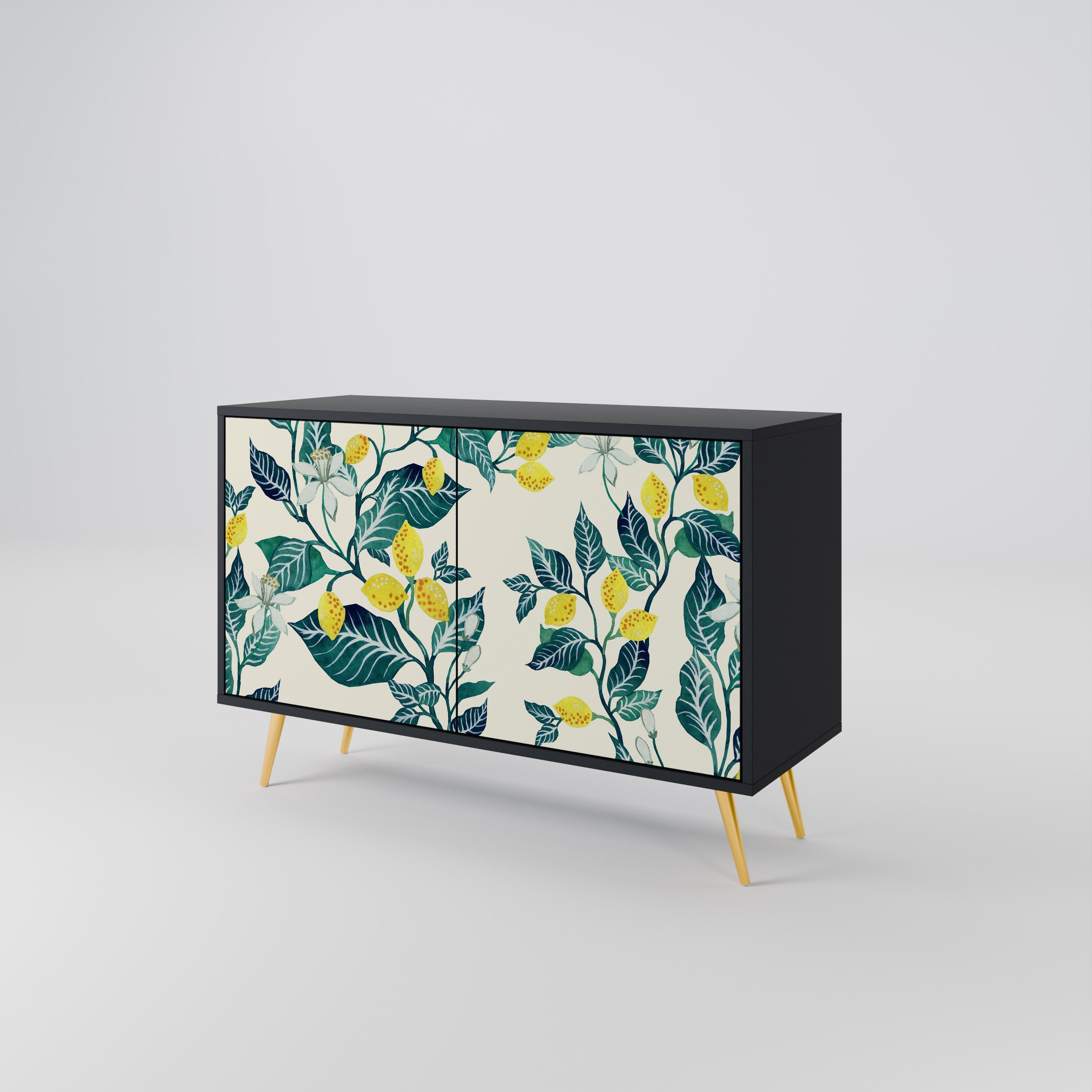 LEMON TREE Sideboard mit 2 Türen in Schwarz