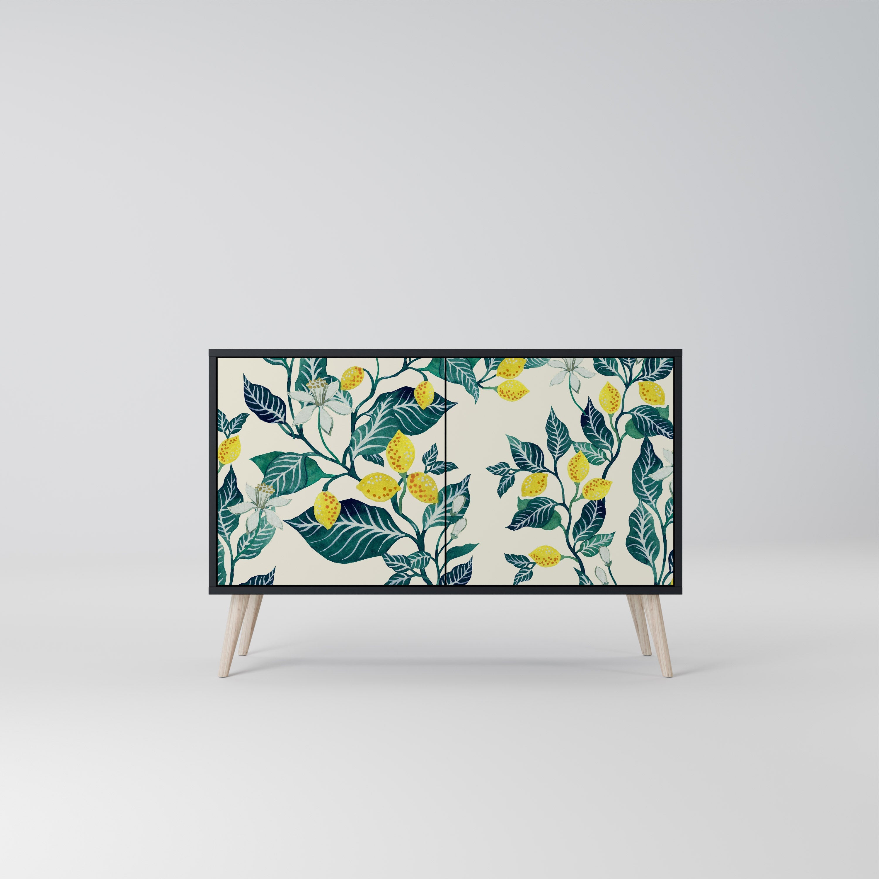 LEMON TREE Sideboard mit 2 Türen in Schwarz