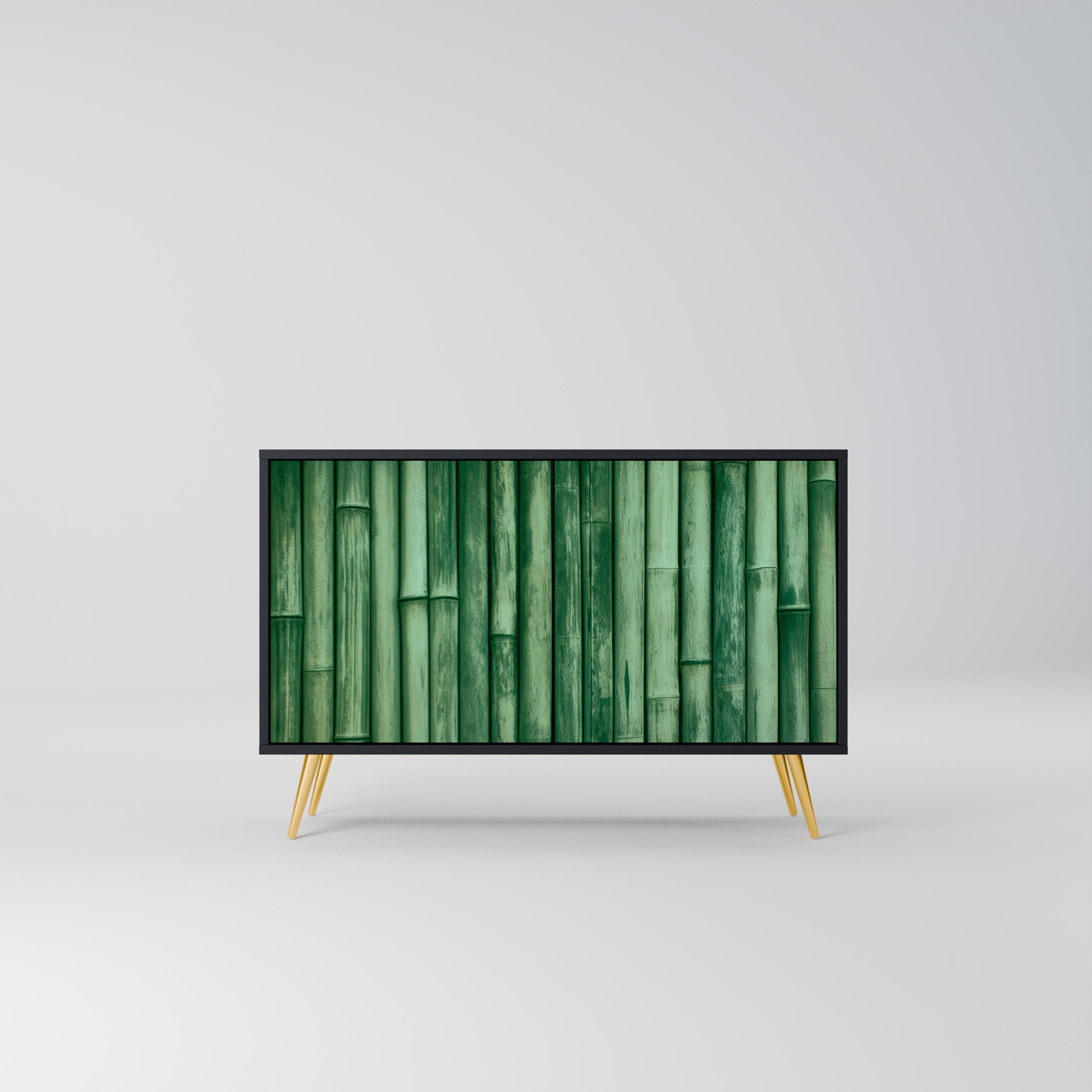 NATURAL GREEN 2-Door Sideboard in Black Finish