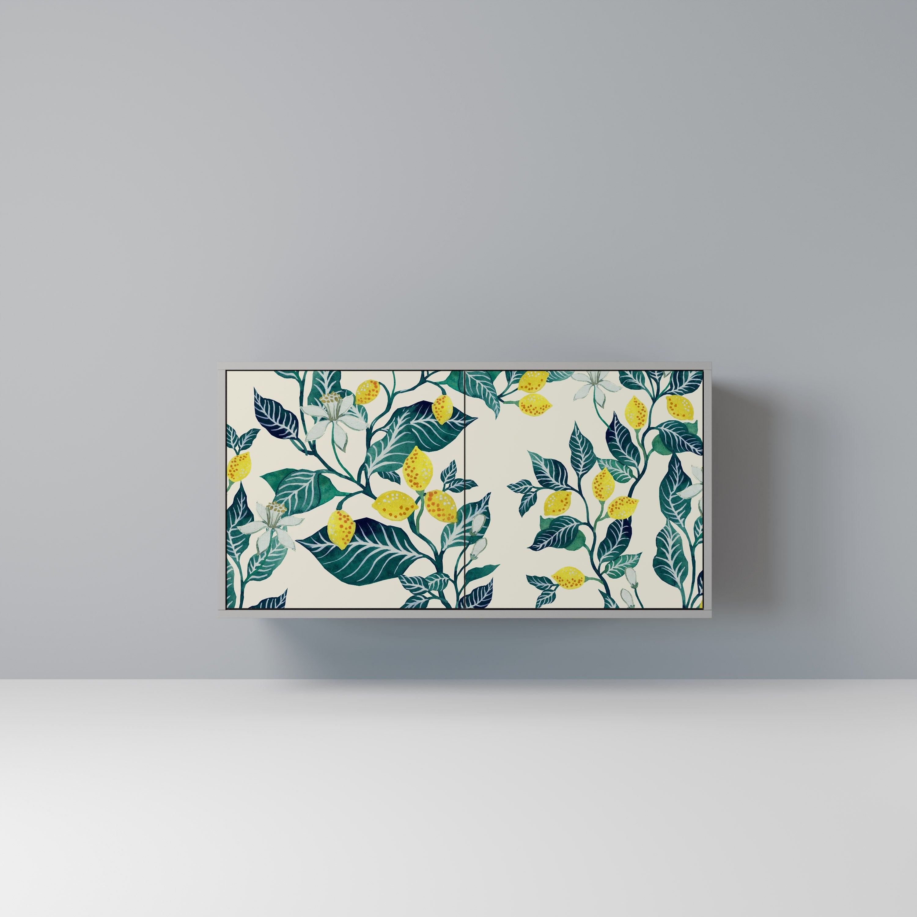LEMON TREE Sideboard mit 2 Türen in Grau