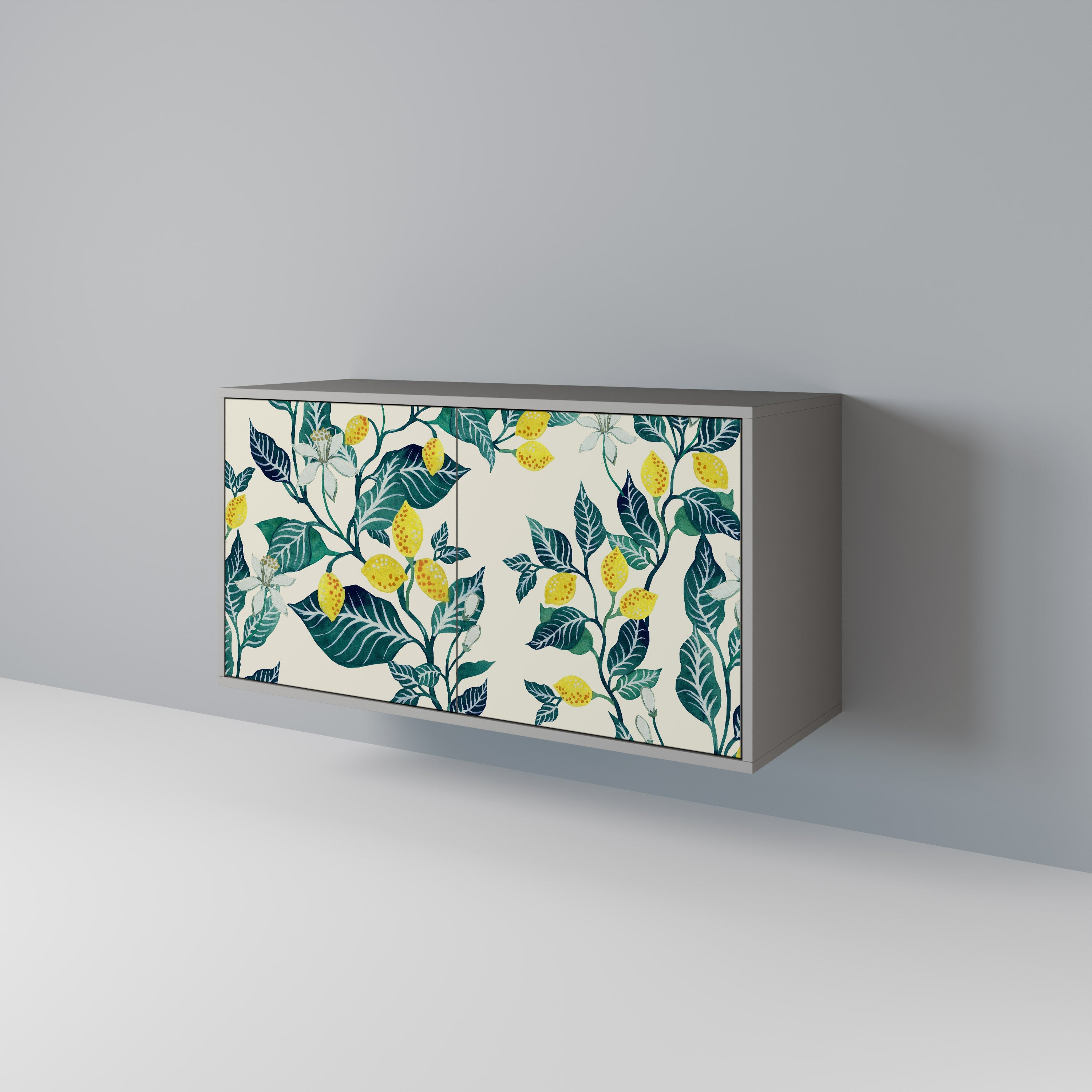 LEMON TREE Sideboard mit 2 Türen in Grau