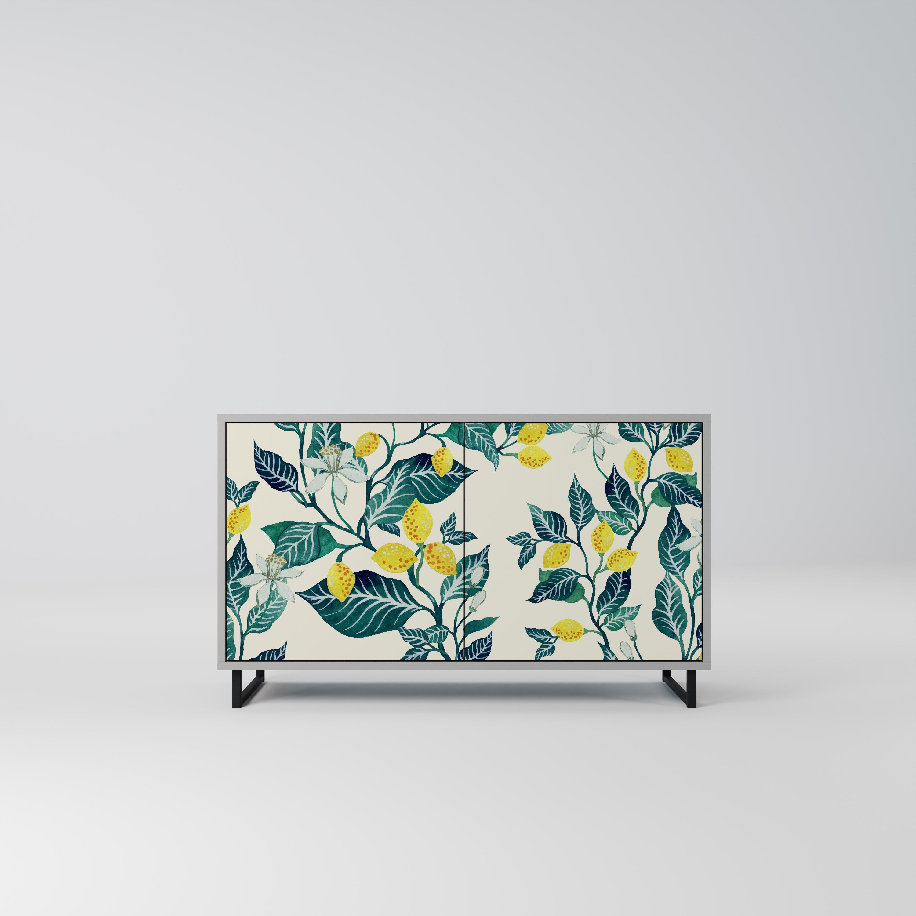 LEMON TREE Sideboard mit 2 Türen in Grau