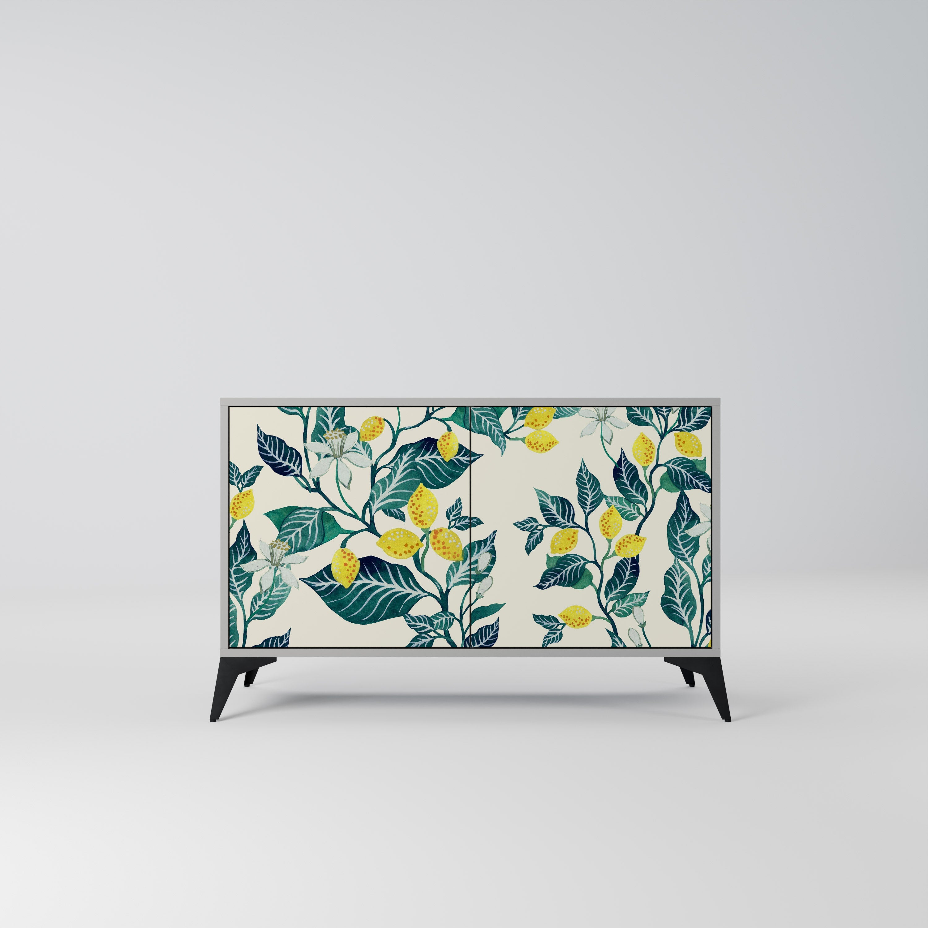 LEMON TREE Sideboard mit 2 Türen in Grau
