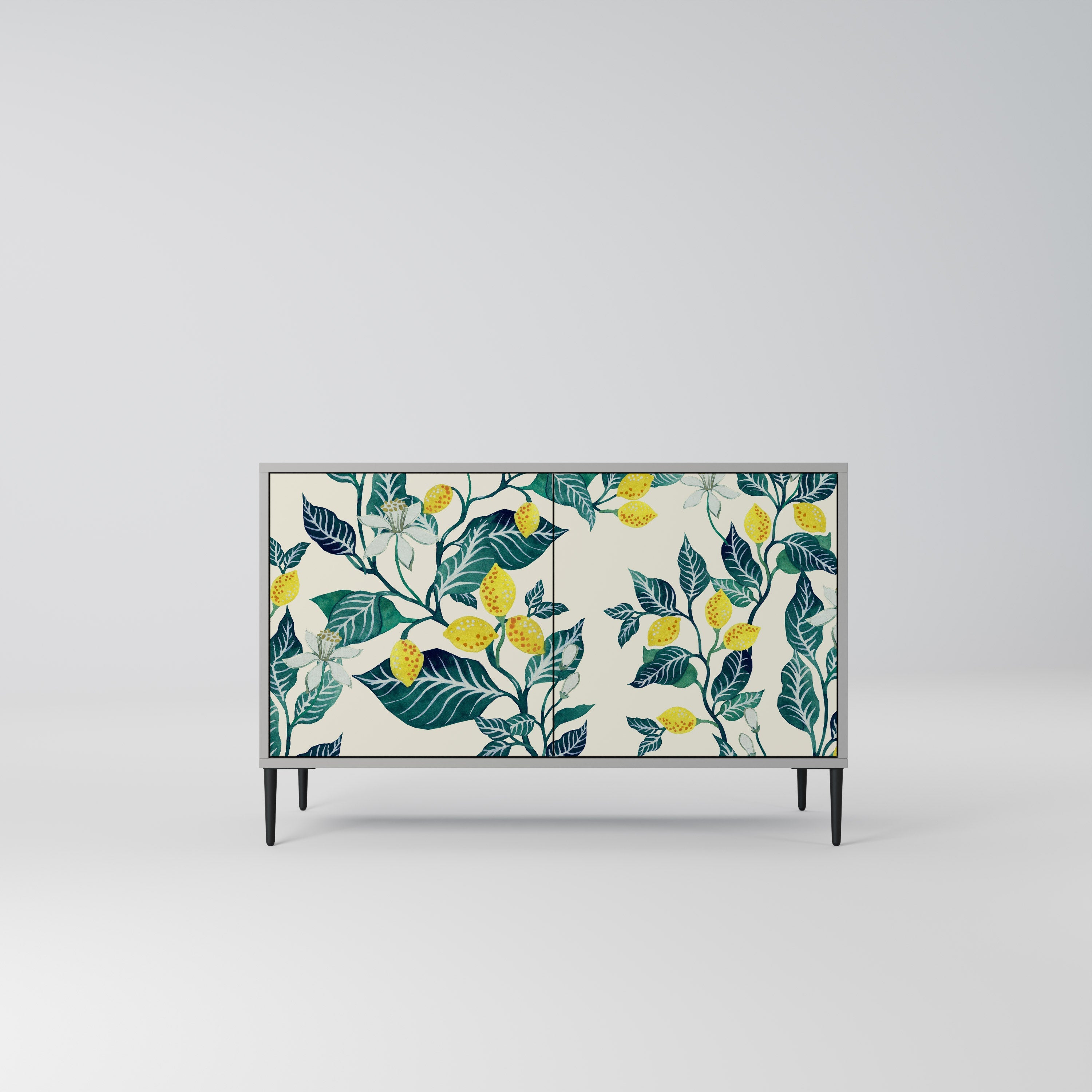 LEMON TREE Sideboard mit 2 Türen in Grau