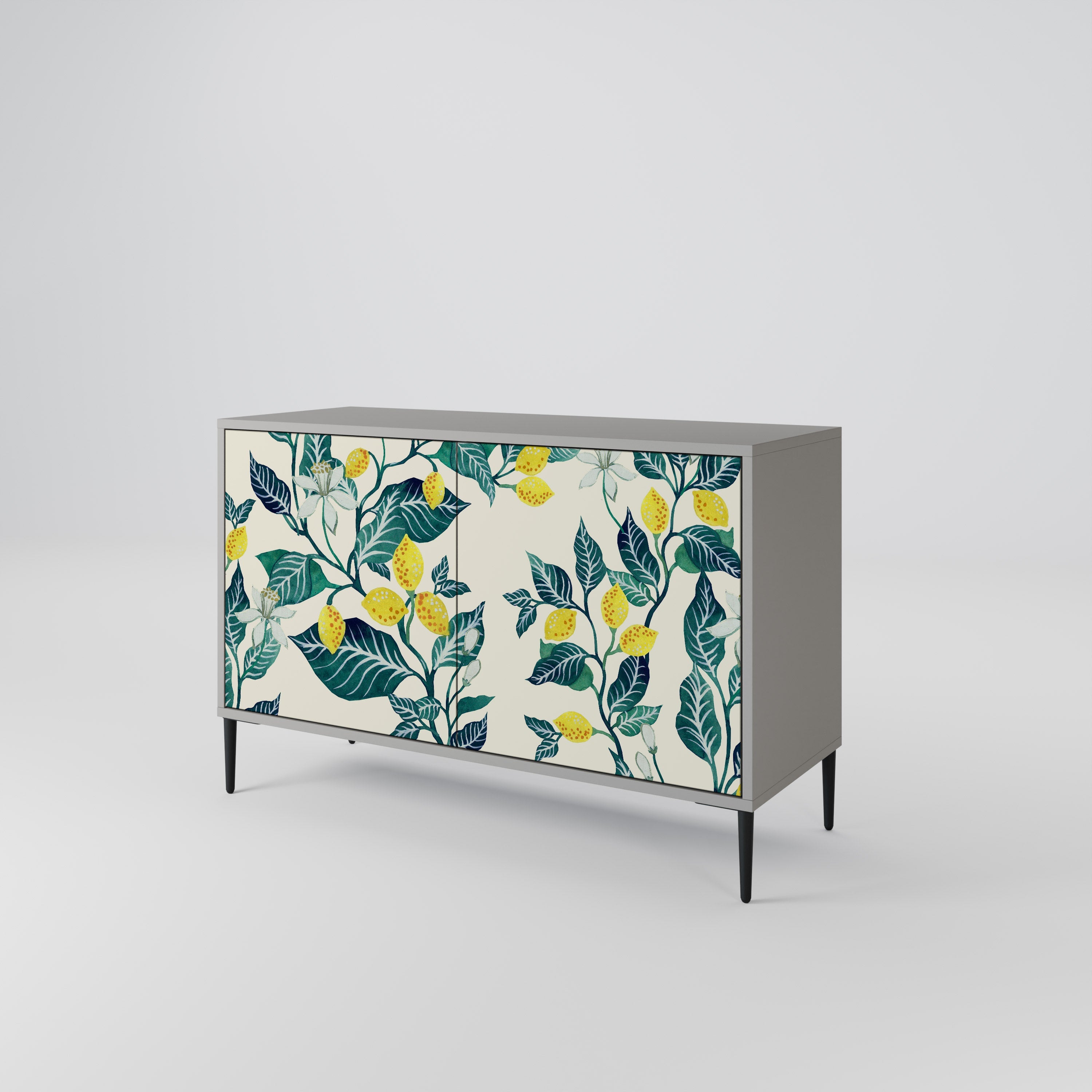 LEMON TREE Sideboard mit 2 Türen in Grau