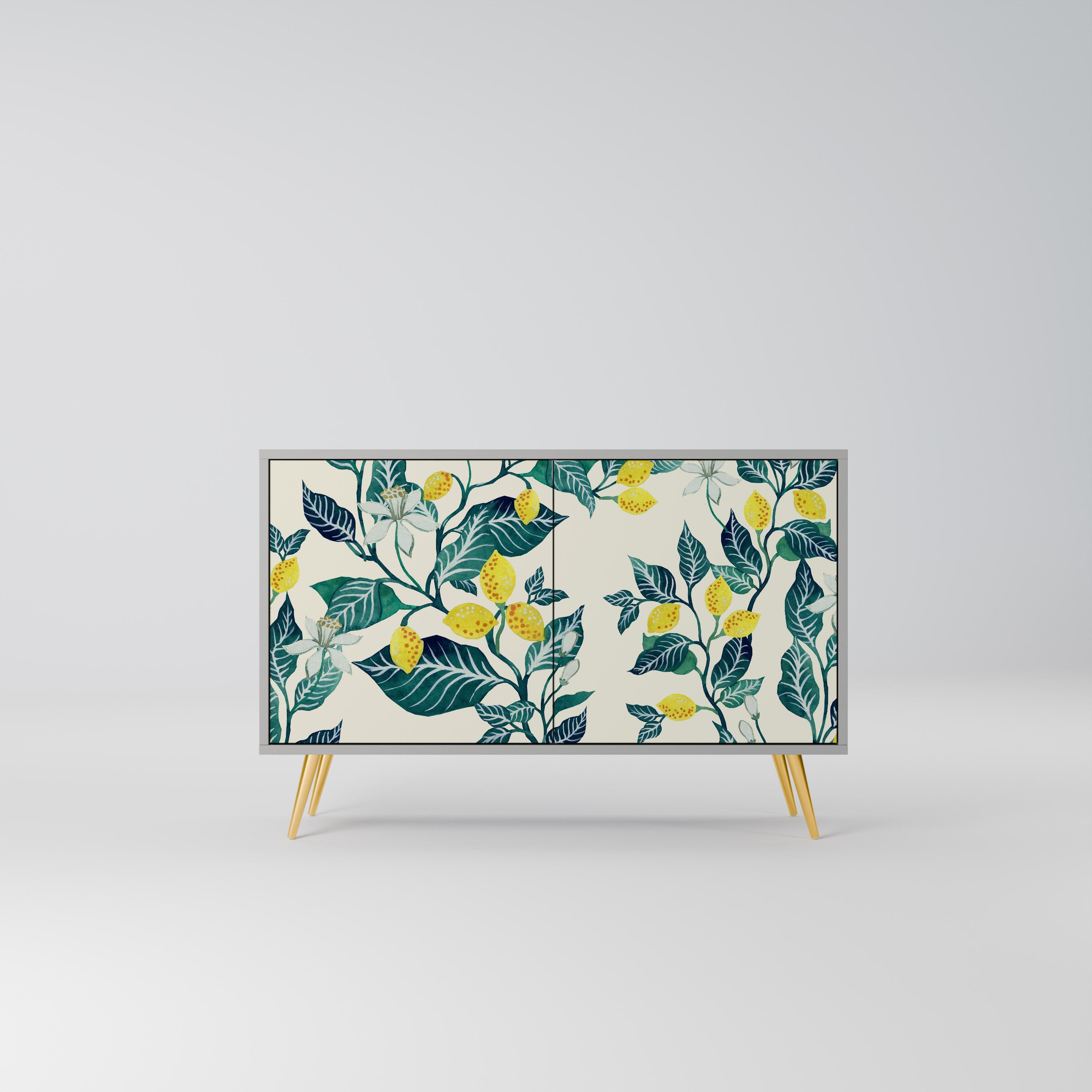LEMON TREE Sideboard mit 2 Türen in Grau