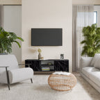 SHIMMER SPIDERGRAM TV-Lowboard mit 2 Türen in Schwarz