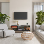 FIGURES OF NATURE TV-Lowboard mit 2 Türen in Schwarz