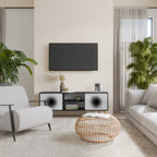 BLACK HOLE TV-Lowboard mit 2 Türen in Schwarz