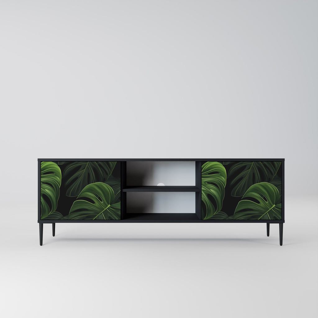 INFINITE MONSTERA 2-Door TV Stand in Black Finish