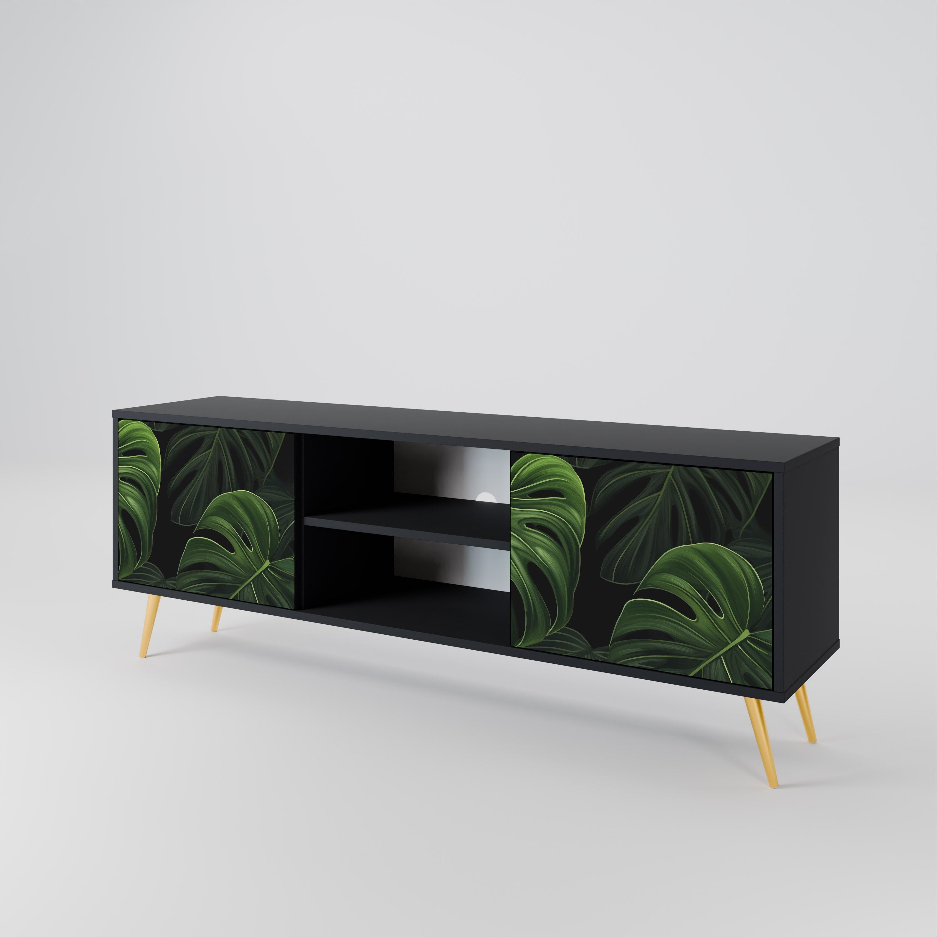 INFINITE MONSTERA 2-Door TV Stand in Black Finish
