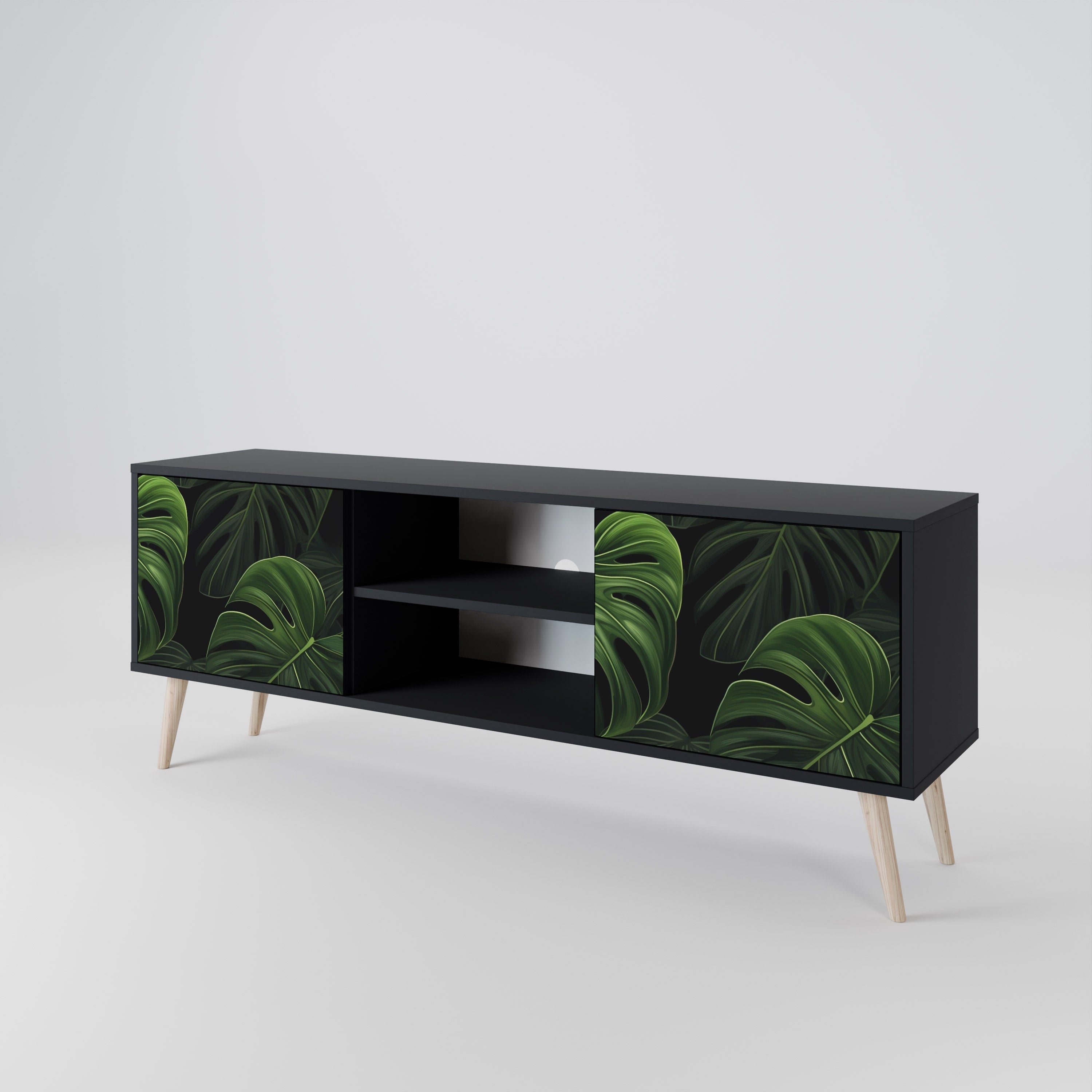 INFINITE MONSTERA 2-Door TV Stand in Black Finish