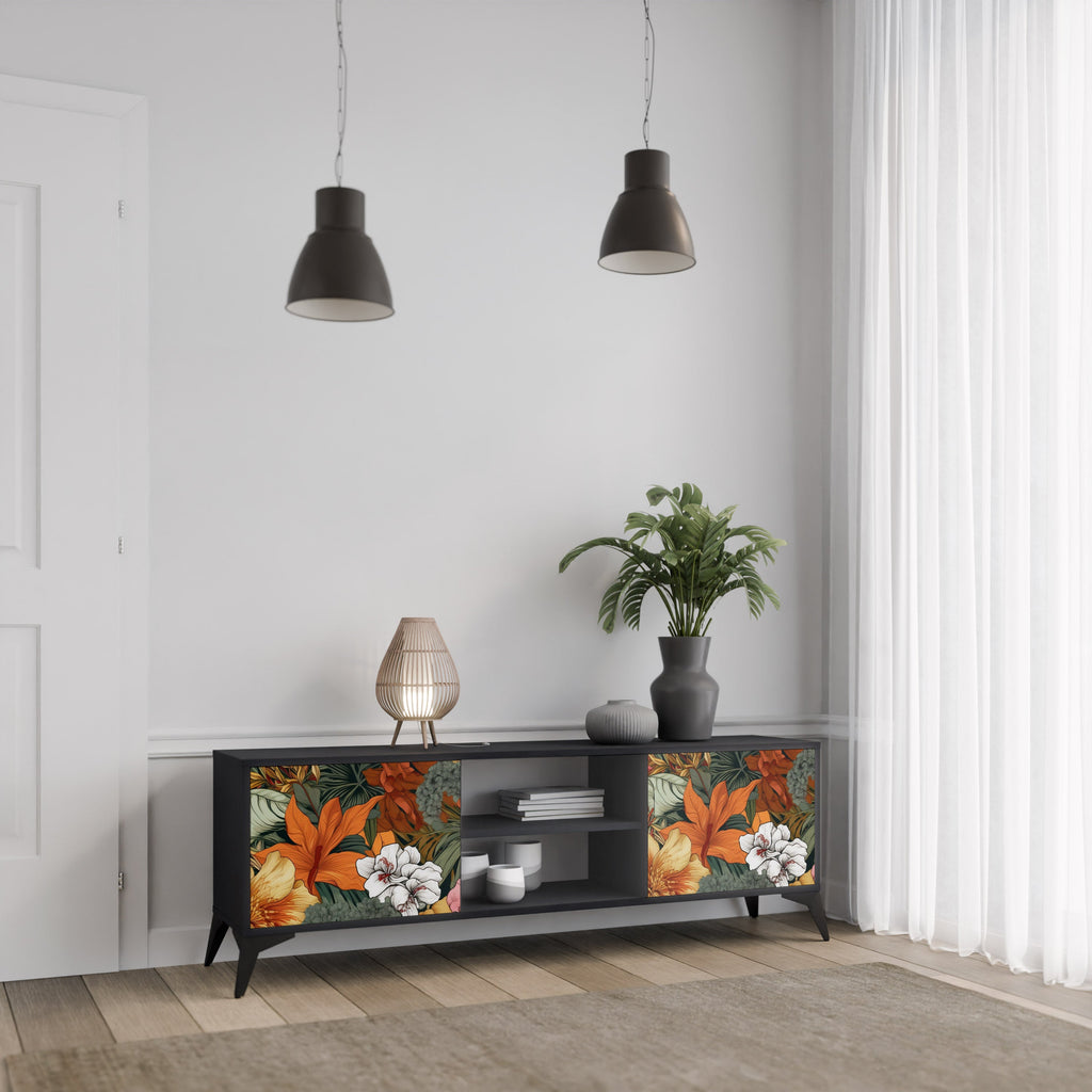 RADIANT FLORA TV-Lowboard mit 2 Türen in Schwarz