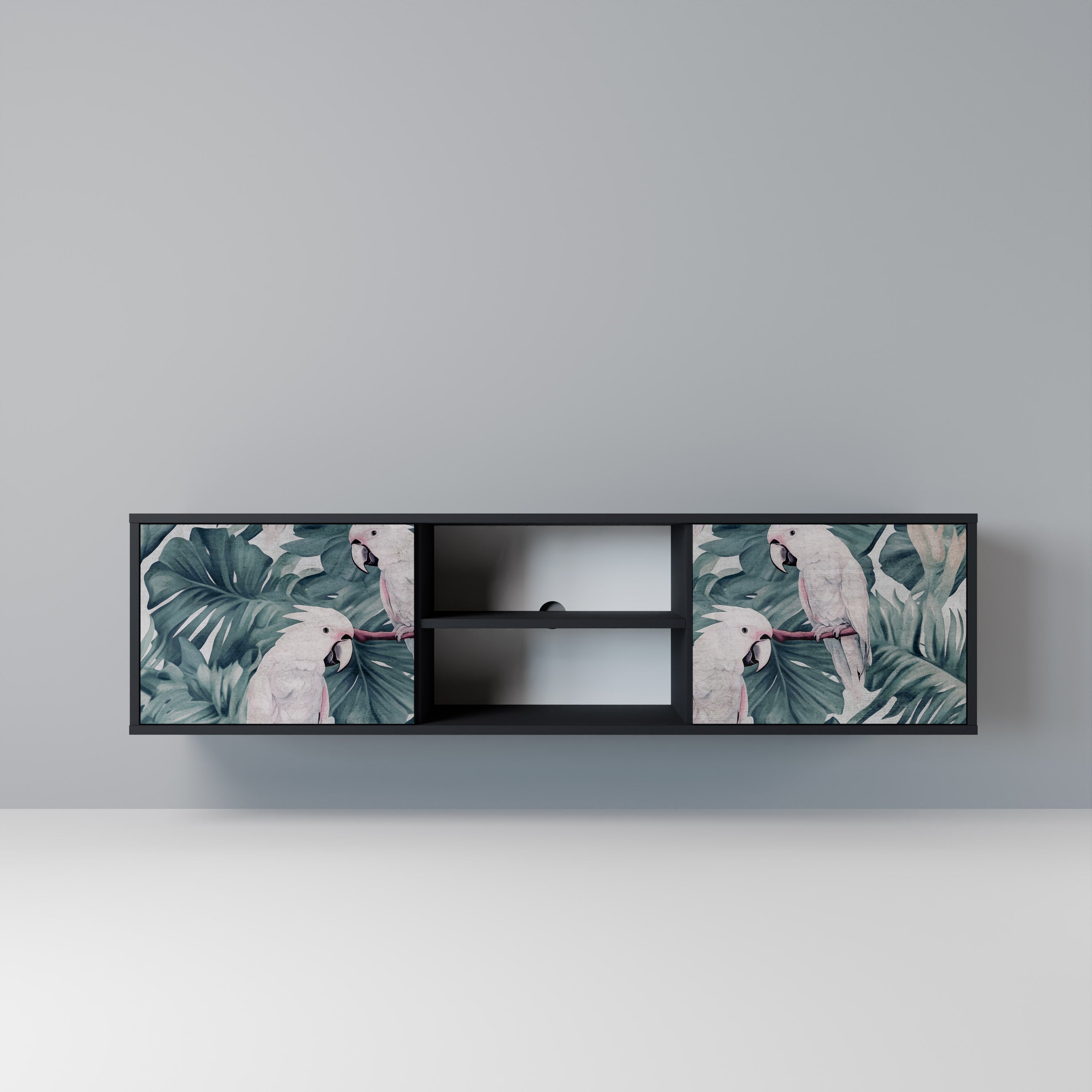 POPINJAY LOOK TV-Lowboard mit 2 Türen in Schwarz