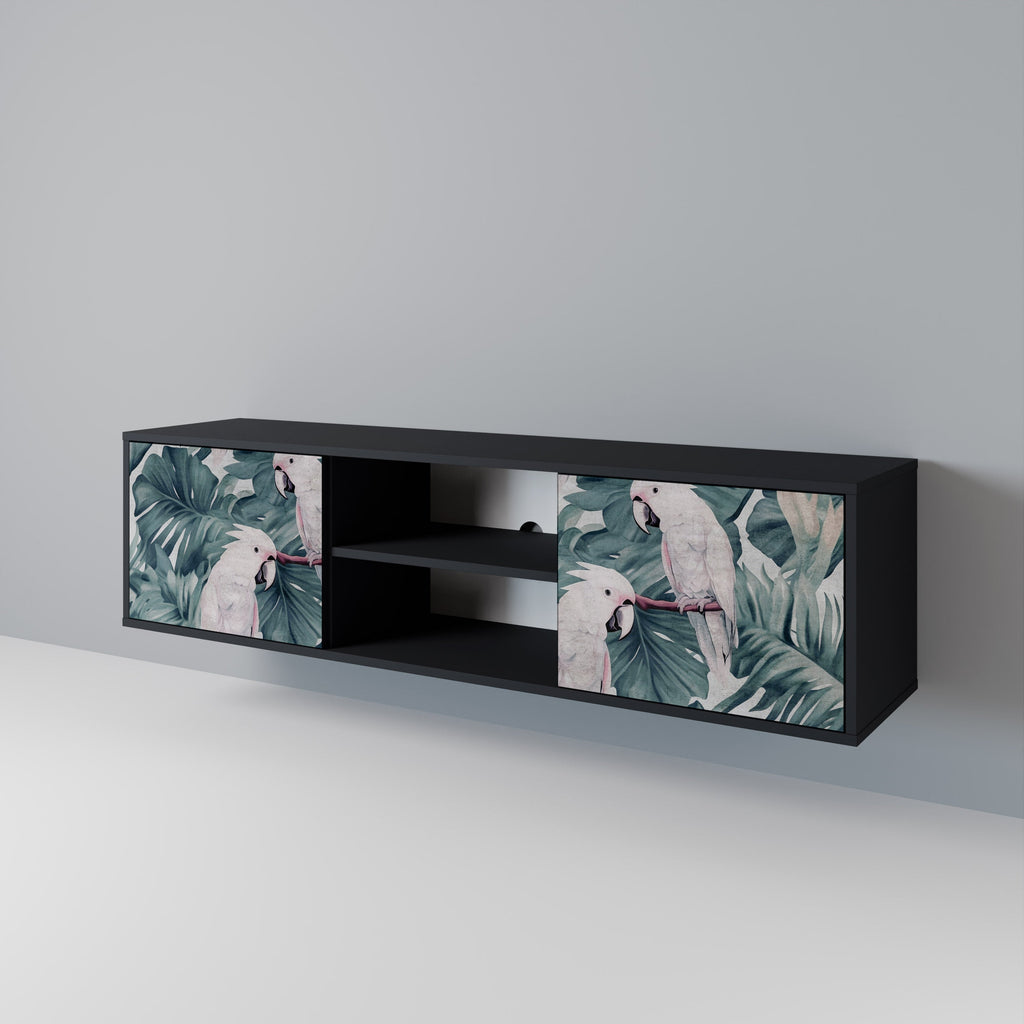 POPINJAY LOOK TV-Lowboard mit 2 Türen in Schwarz