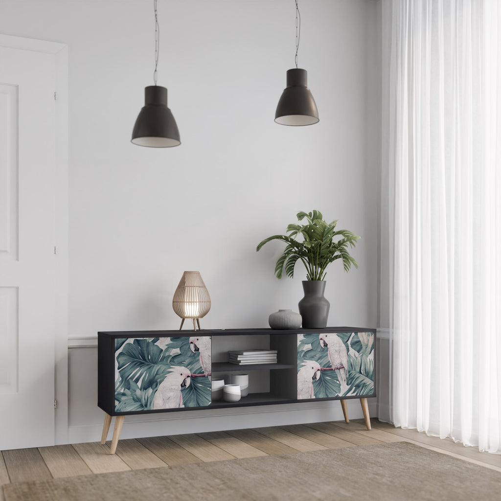 POPINJAY LOOK TV-Lowboard mit 2 Türen in Schwarz